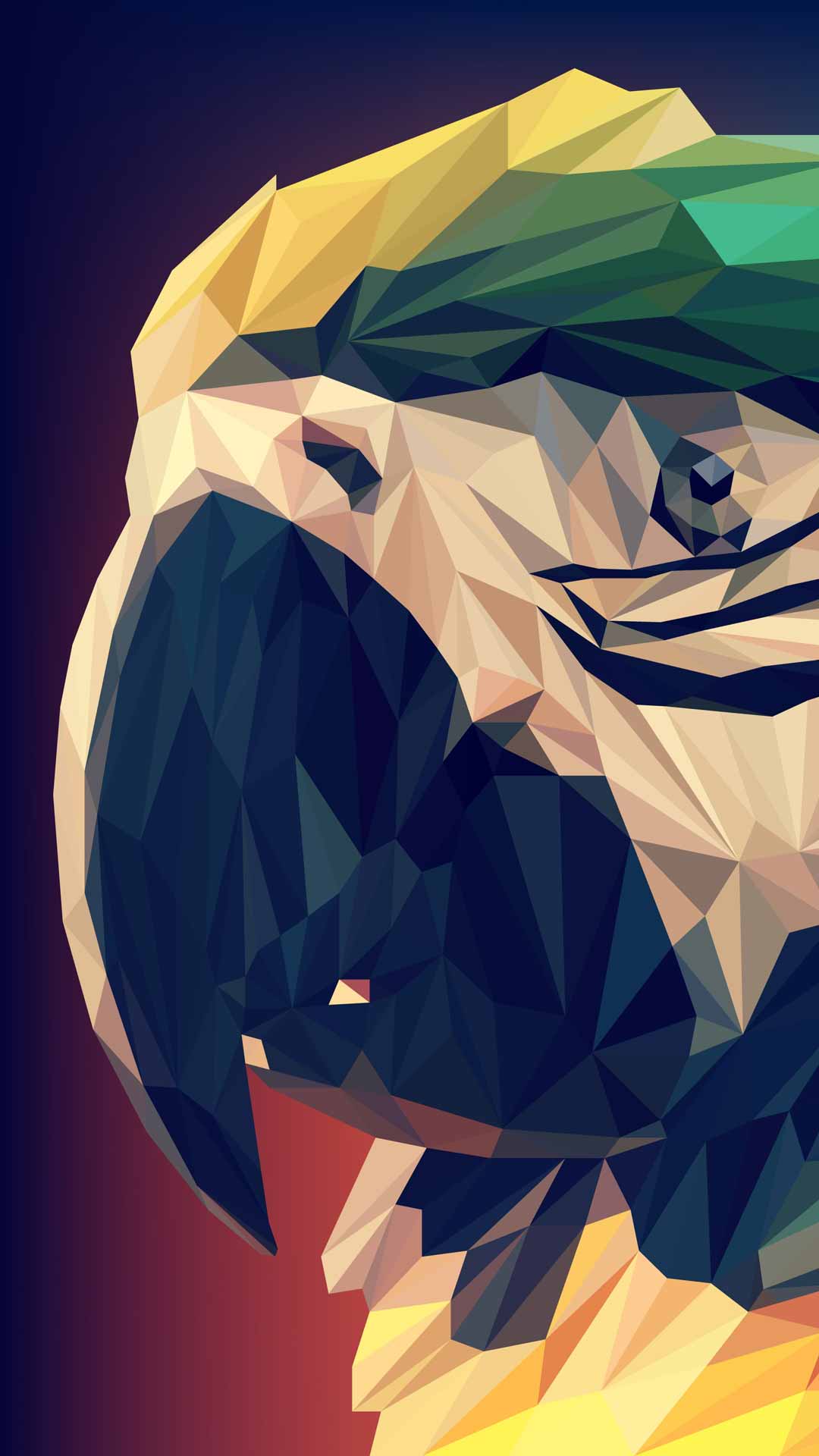 蓝黄金刚鹦鹉手机壁纸