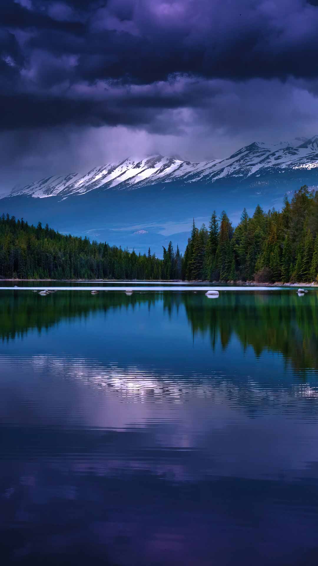 森林自然河流松树风景 手机高清壁纸