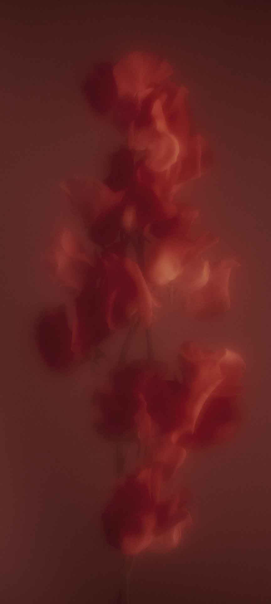 Nothing Phone 2 壁纸