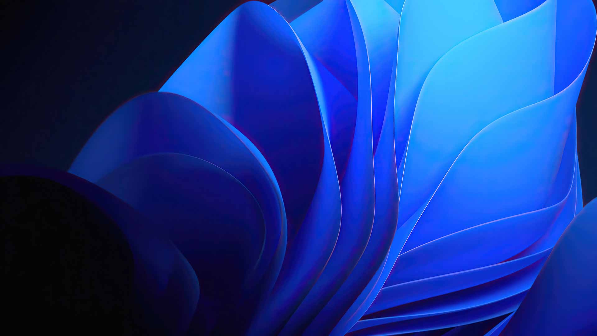 Windows 11 Microsoft 4K壁纸