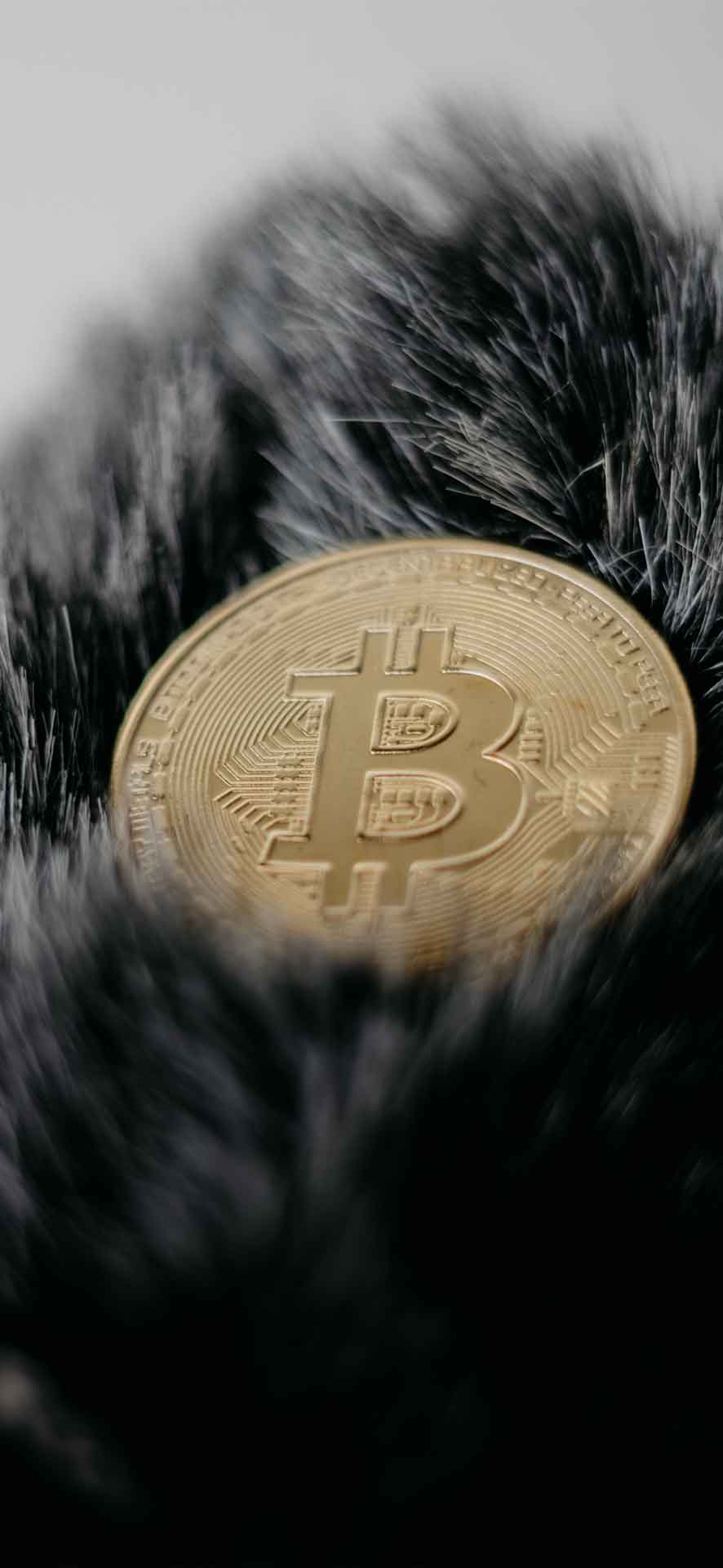 比特币壁纸