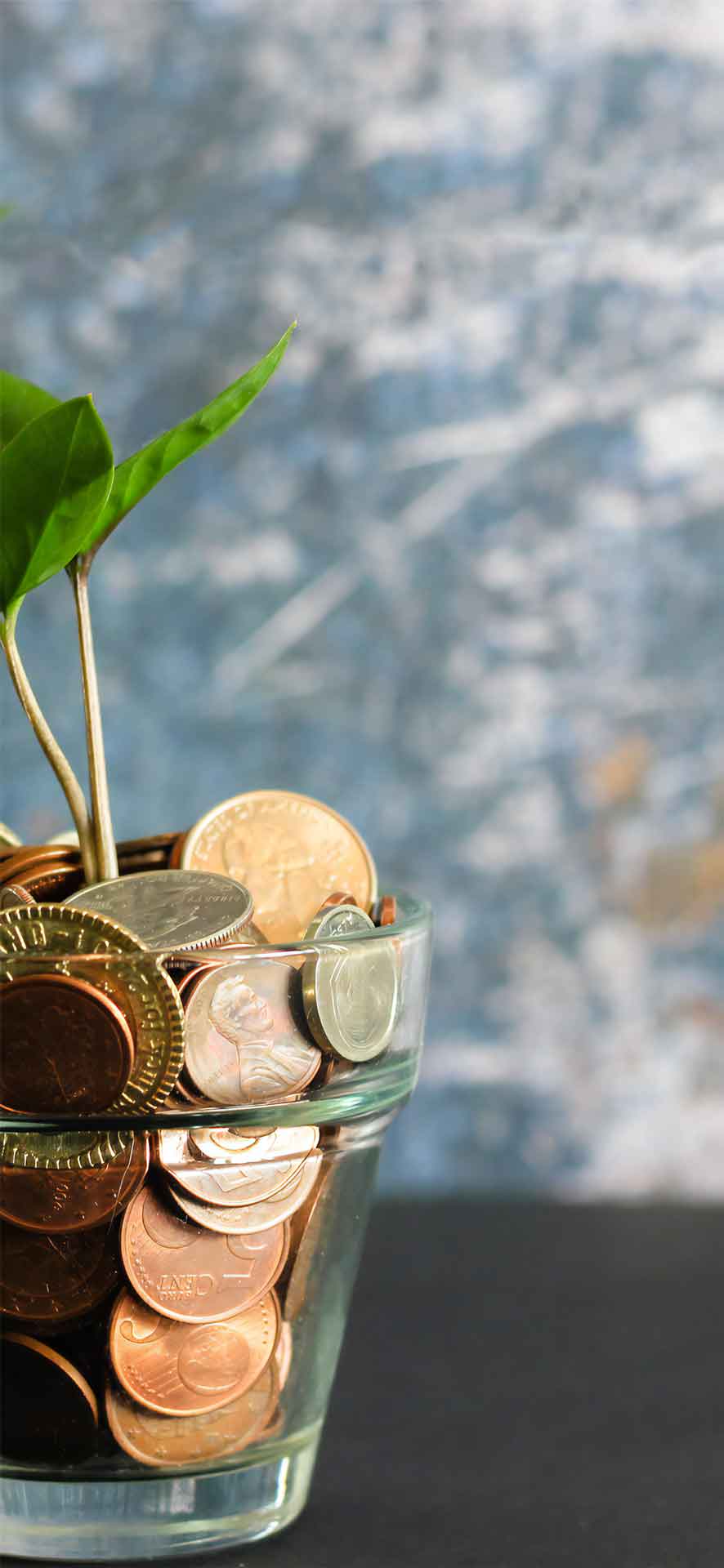 硬币内的绿色植物壁纸