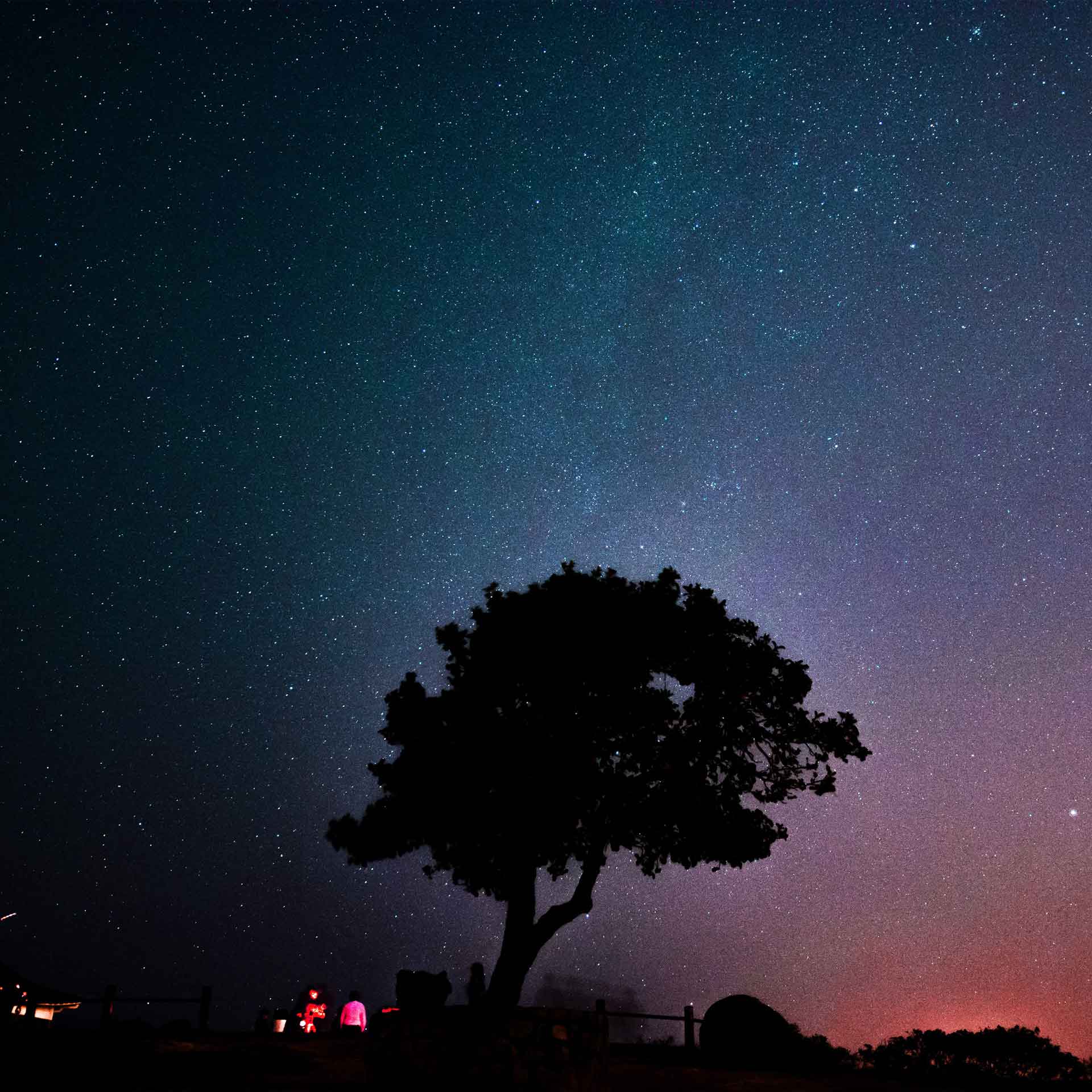 粉红色日出与夜晚的星星壁纸