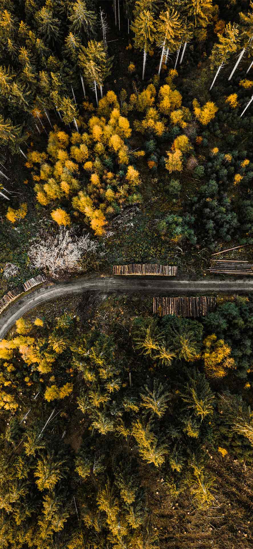 伍兹鸟瞰航拍壁纸