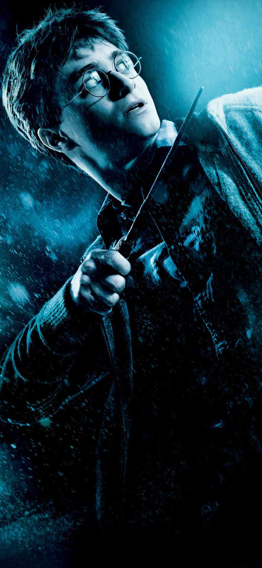 哈利和他的魔杖