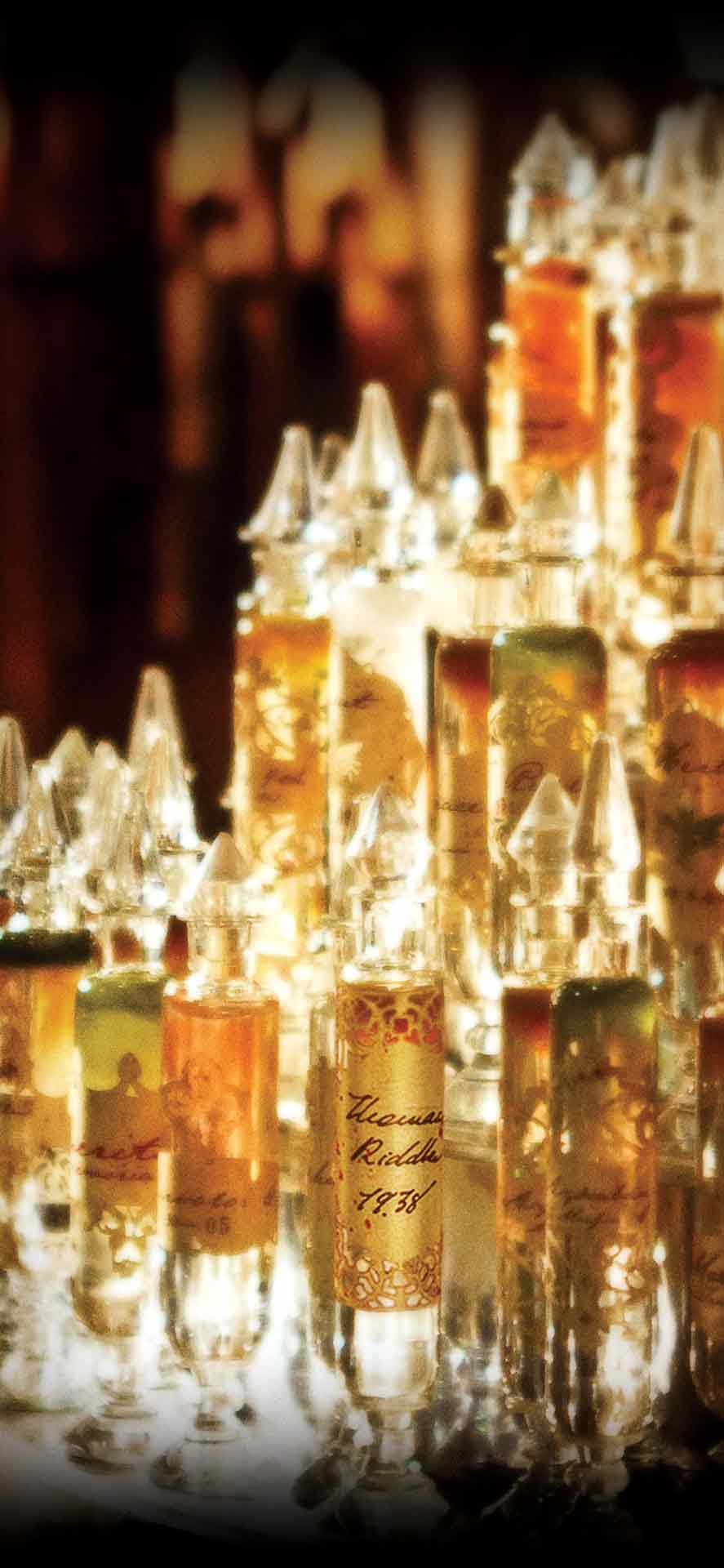 汤姆·里德尔的回忆