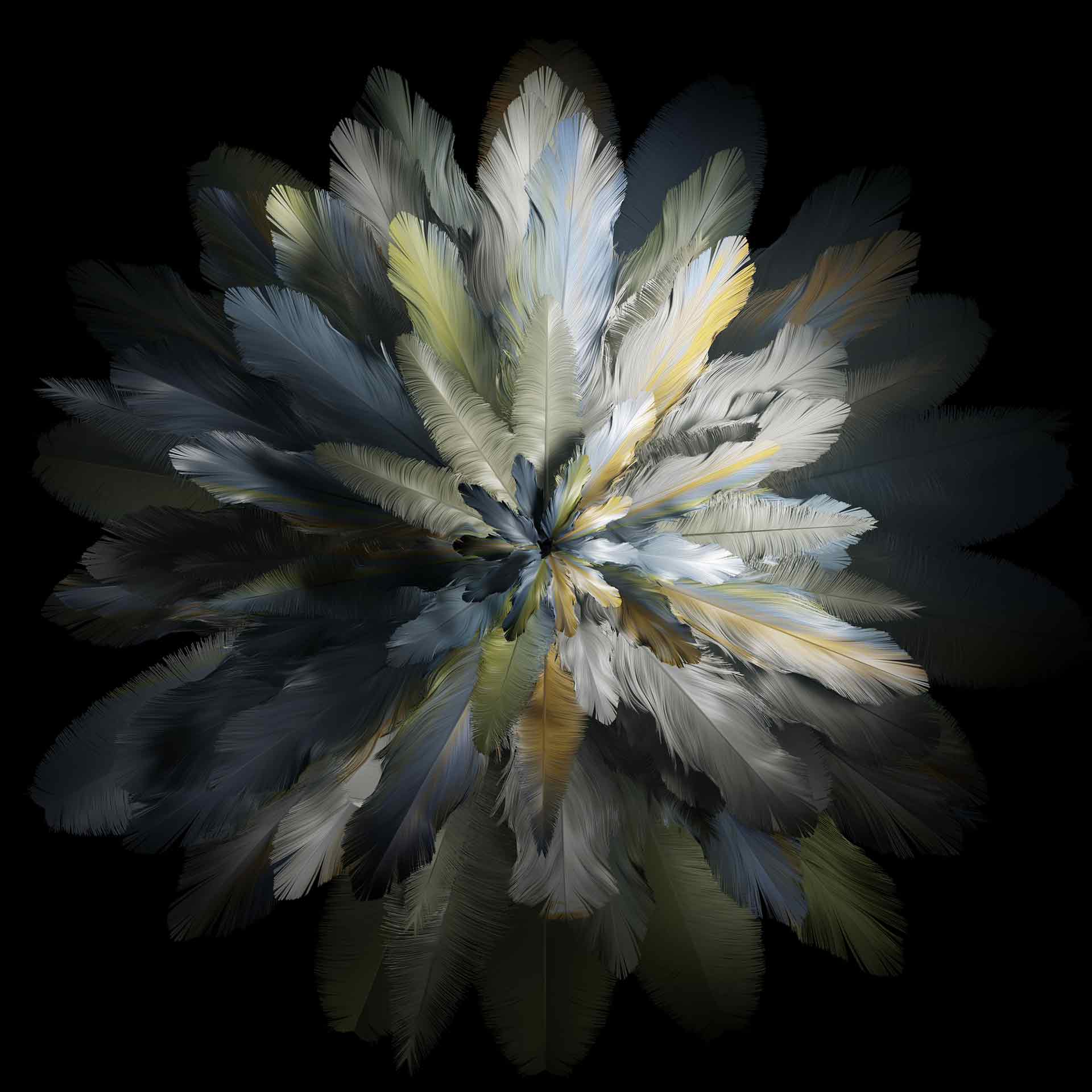 Oppo Find N3 内置壁纸 02