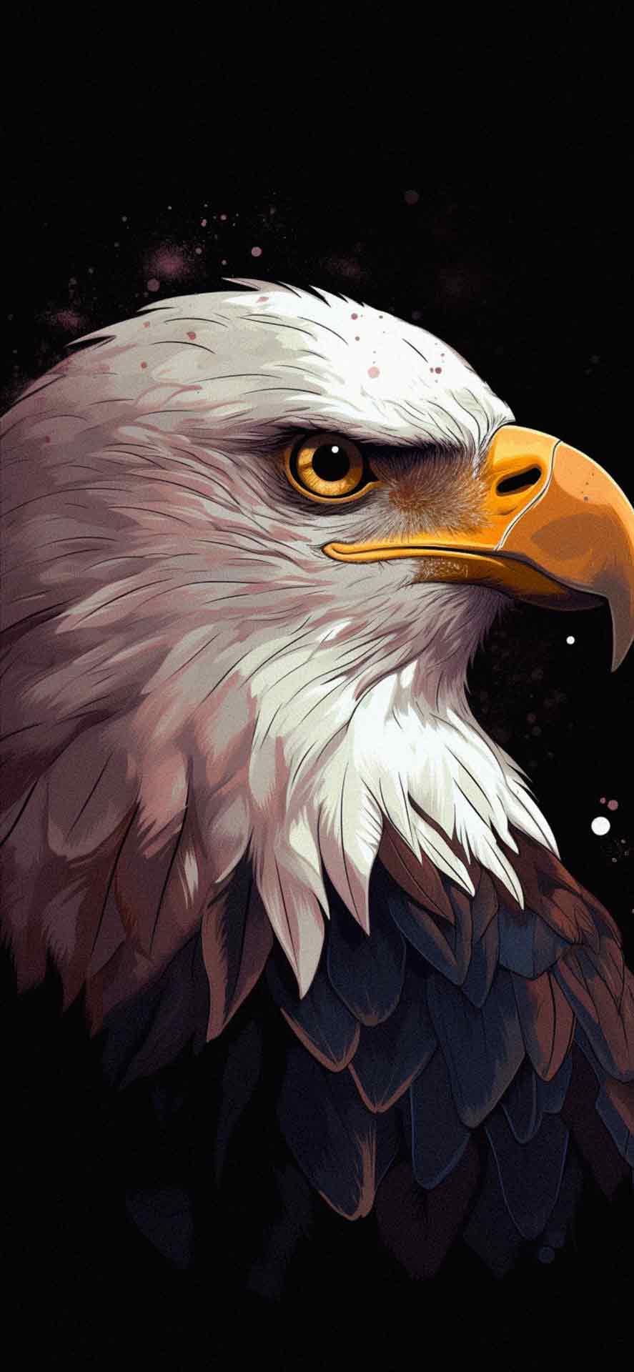 秃鹰审美壁纸