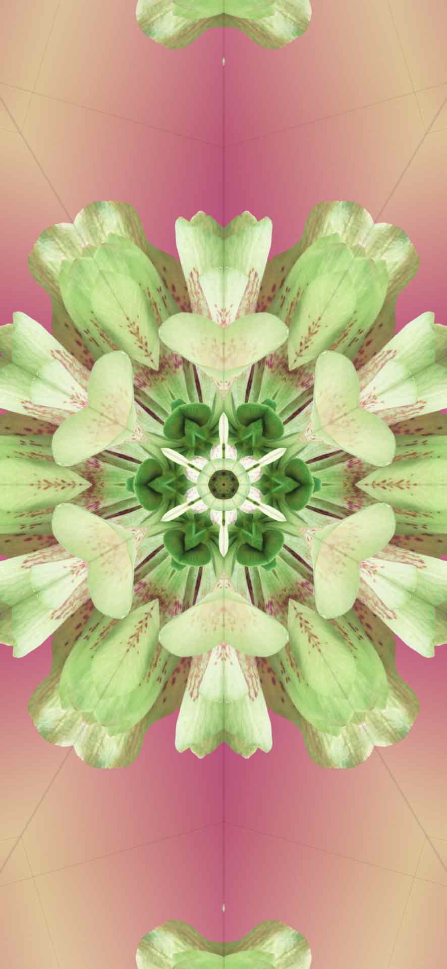 iOS17 万花筒壁纸 20