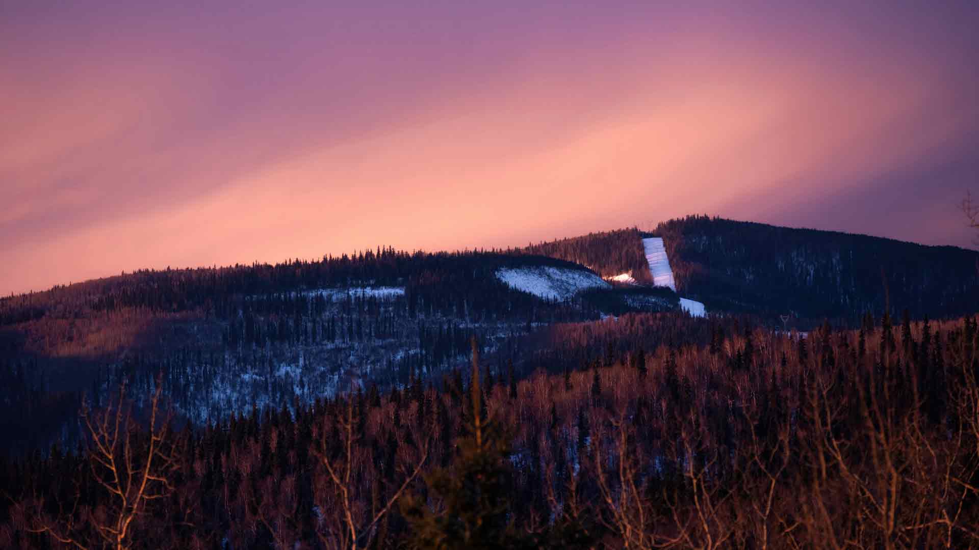 天空雪普拉树 5k
