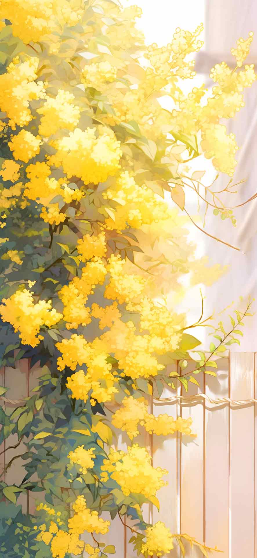 篱笆外的嫩黄花壁纸