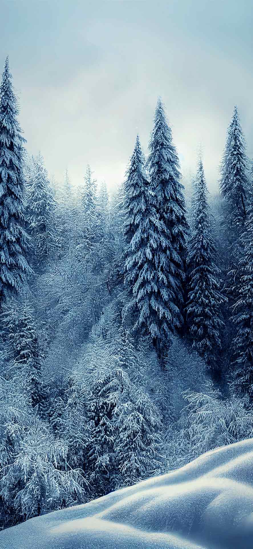 美观的冬季壁纸 08