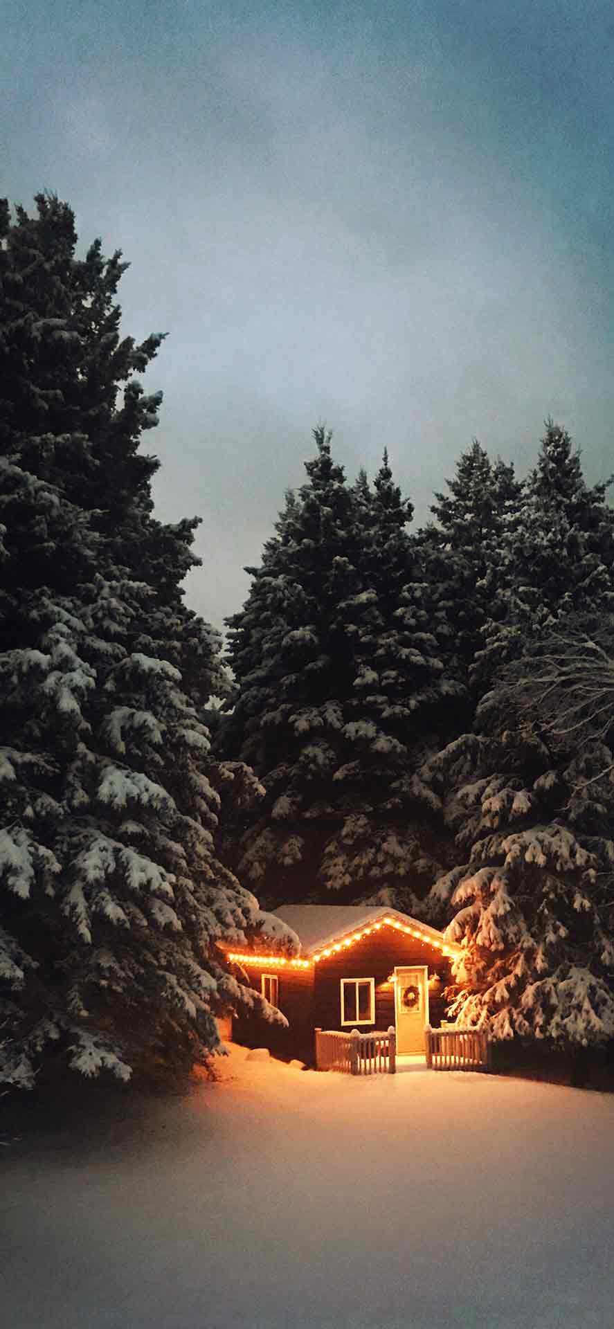 美观的冬季壁纸 14