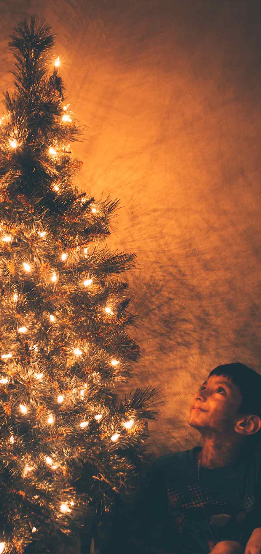 圣诞树壁纸 04
