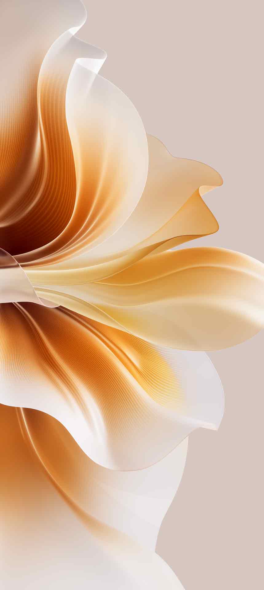 Oppo Reno 11 Pro 内置壁纸 01