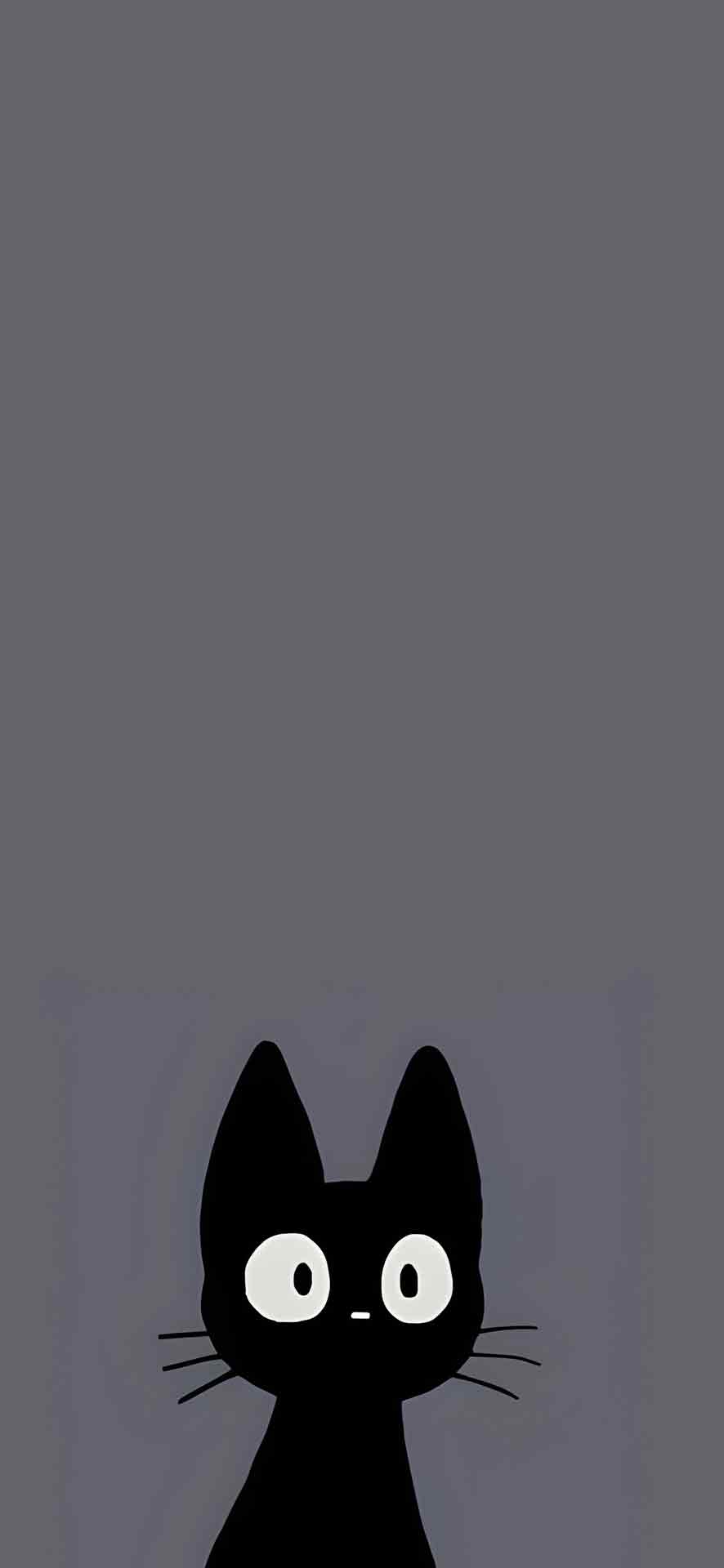 灰色背景壁纸上的好奇猫