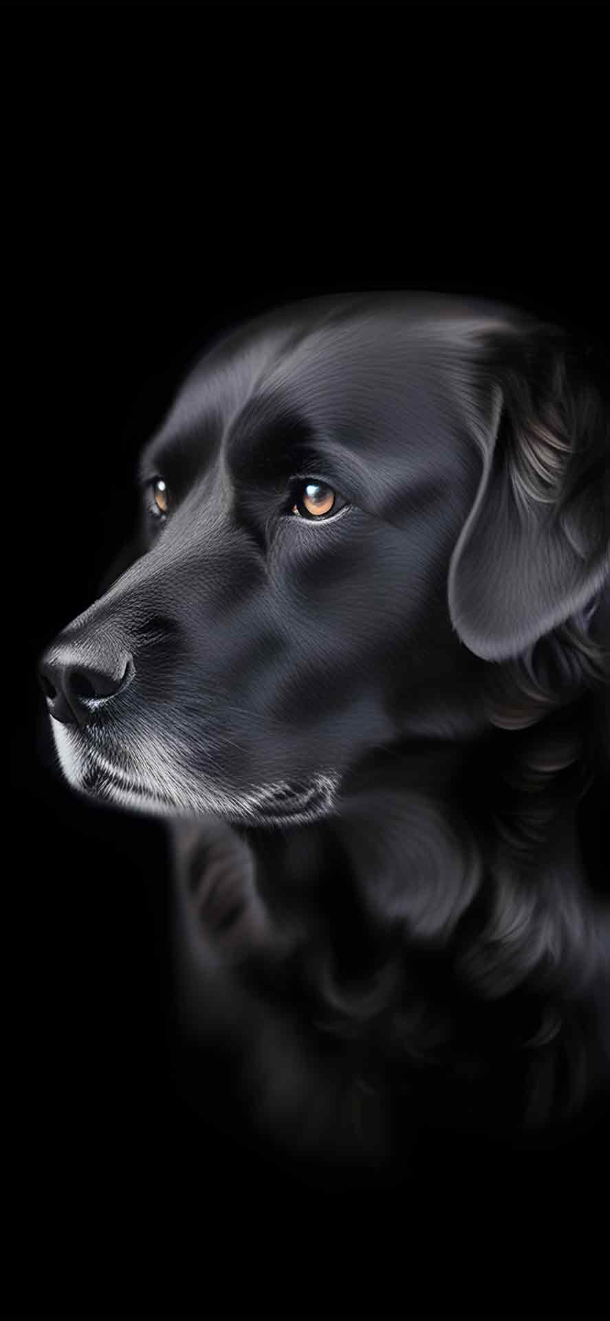深度效果的 iPhone 黑狗壁纸 01