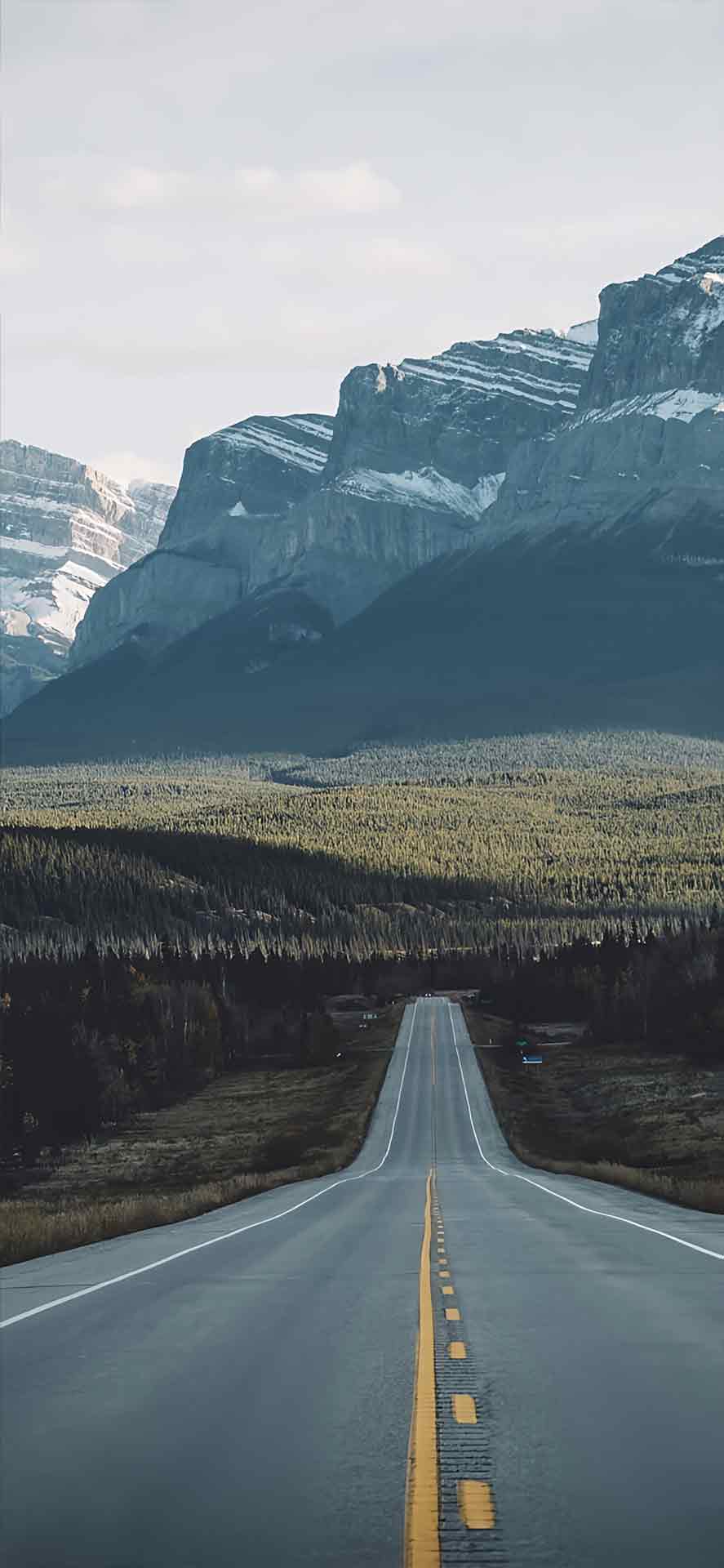 精美道路壁纸 04