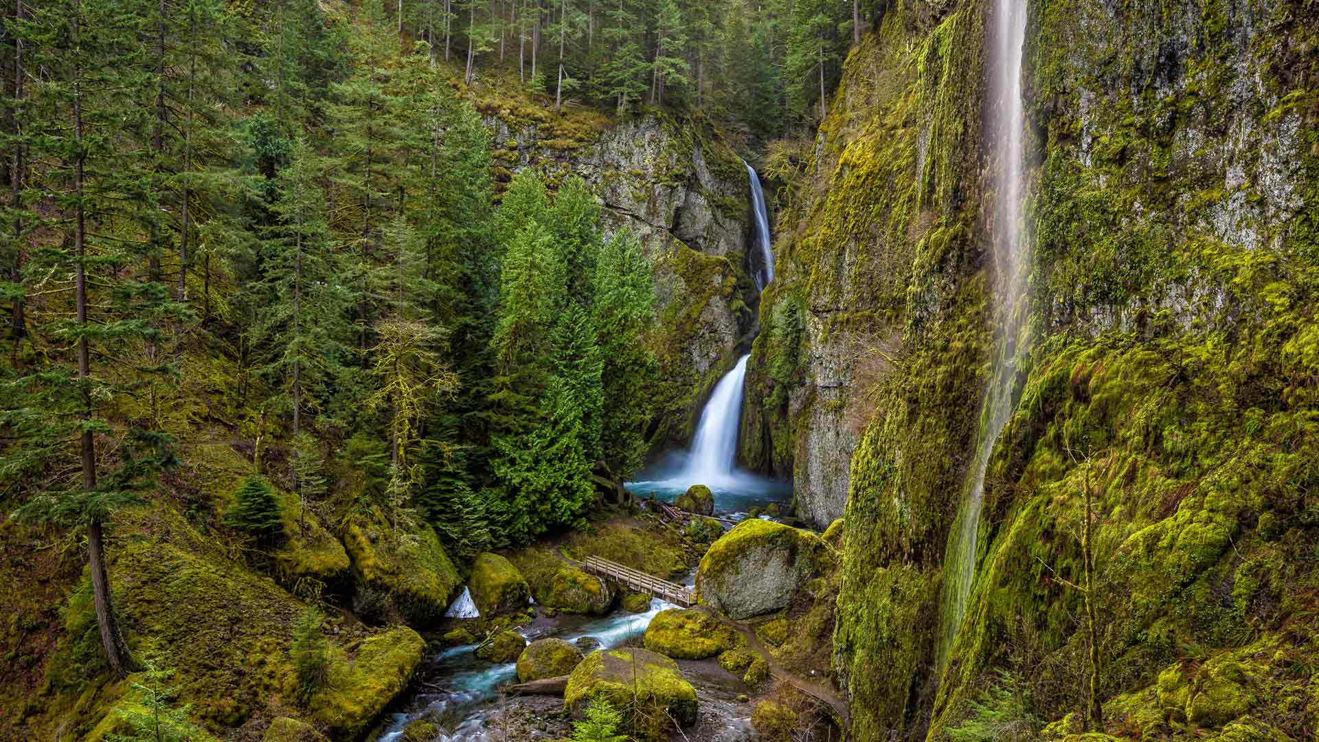 Wahclella Falls，哥伦比亚河峡谷，俄勒冈州，美国