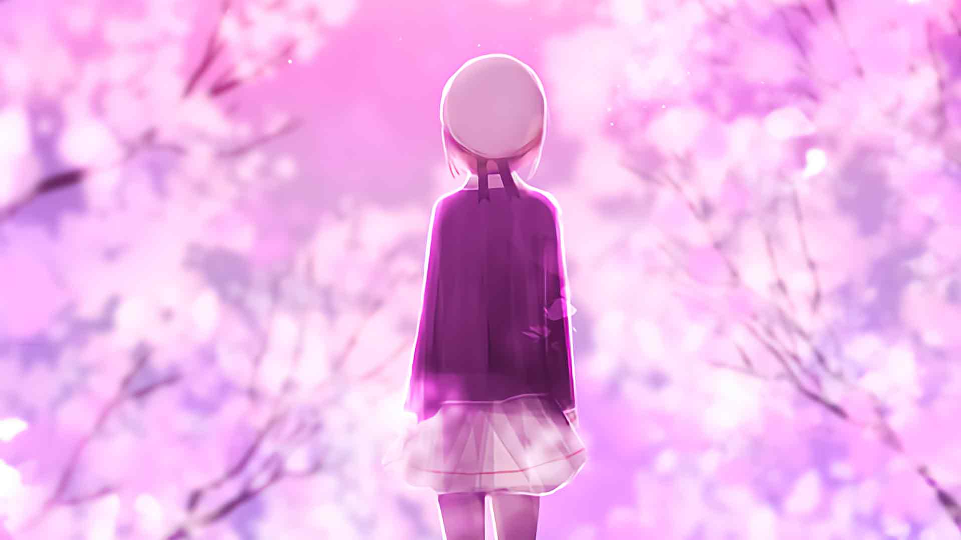 樱花漫步