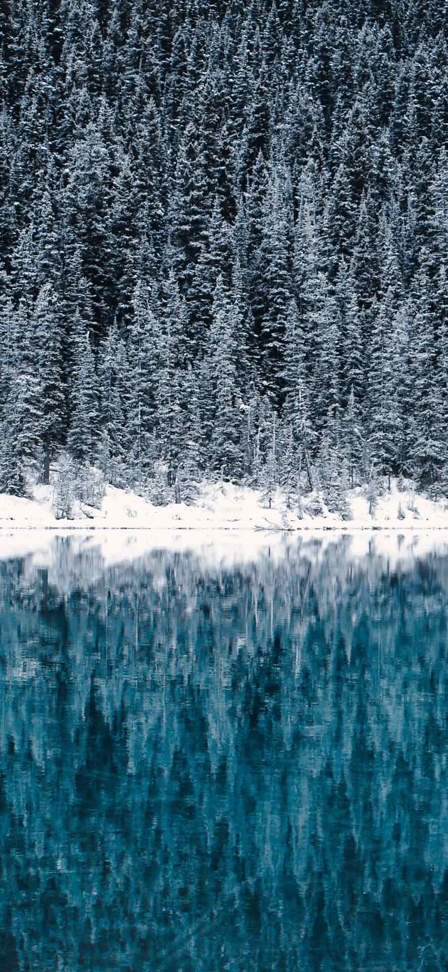 冬天iPhone壁纸 08