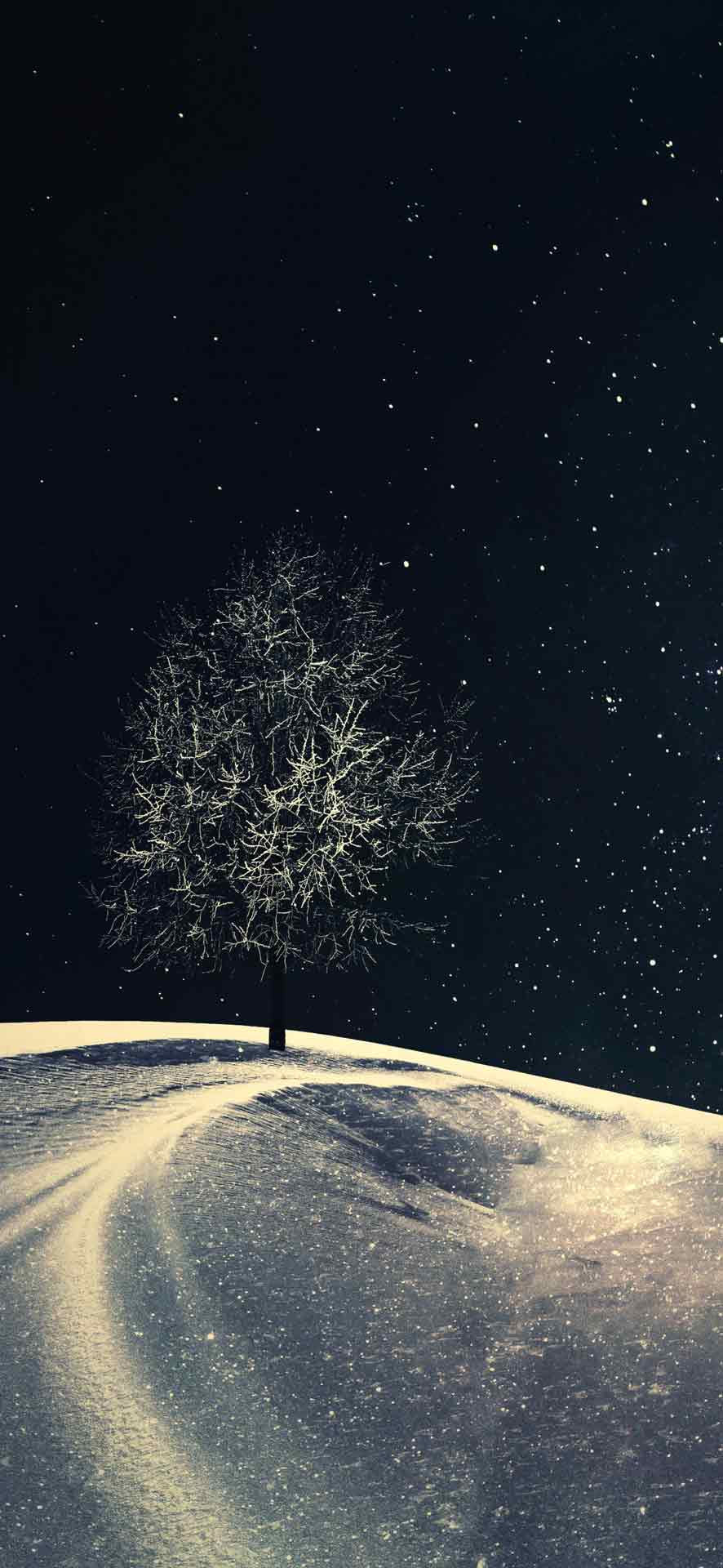 冬天iPhone壁纸 10