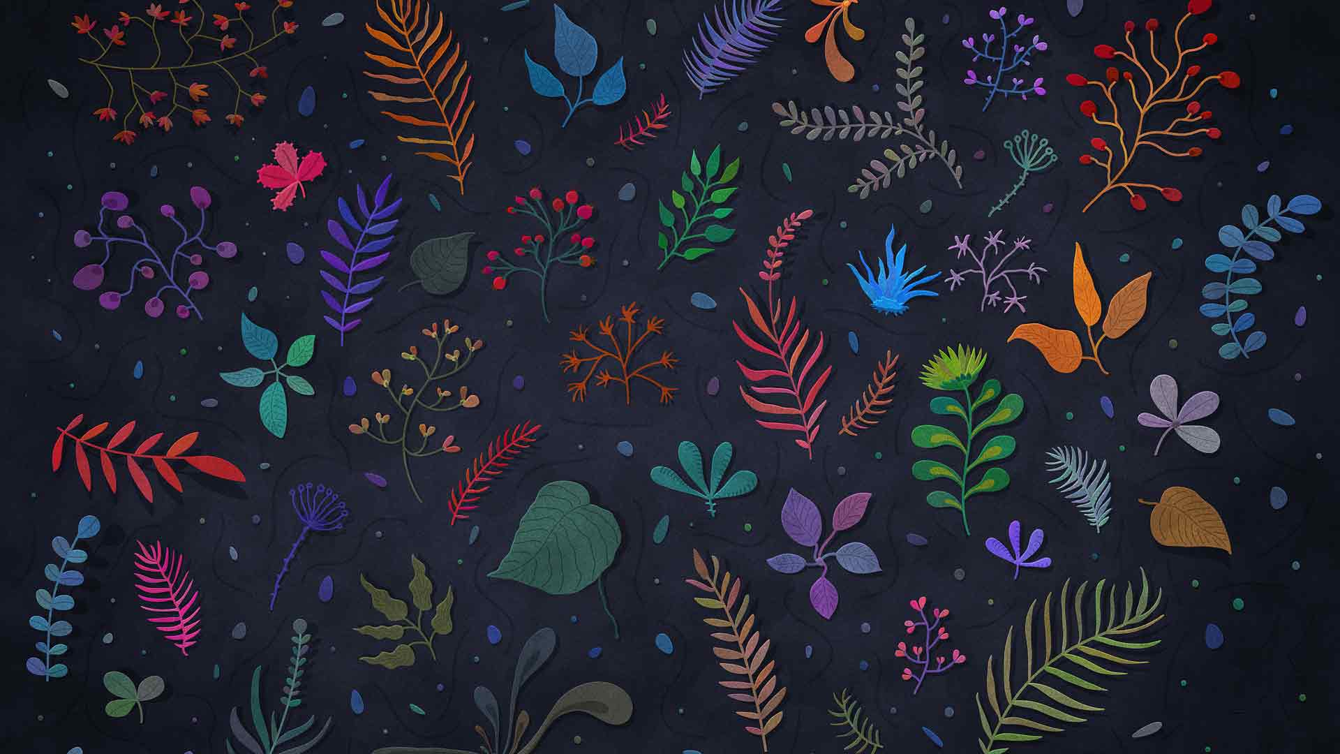 植物插图壁纸