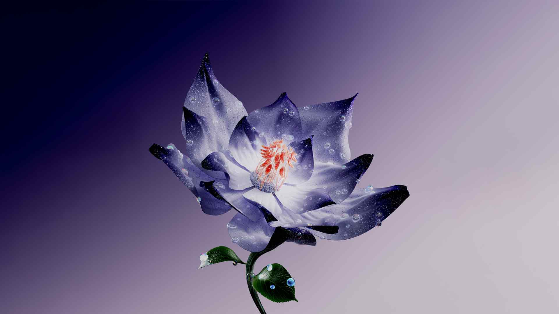 莲花数字艺术壁纸