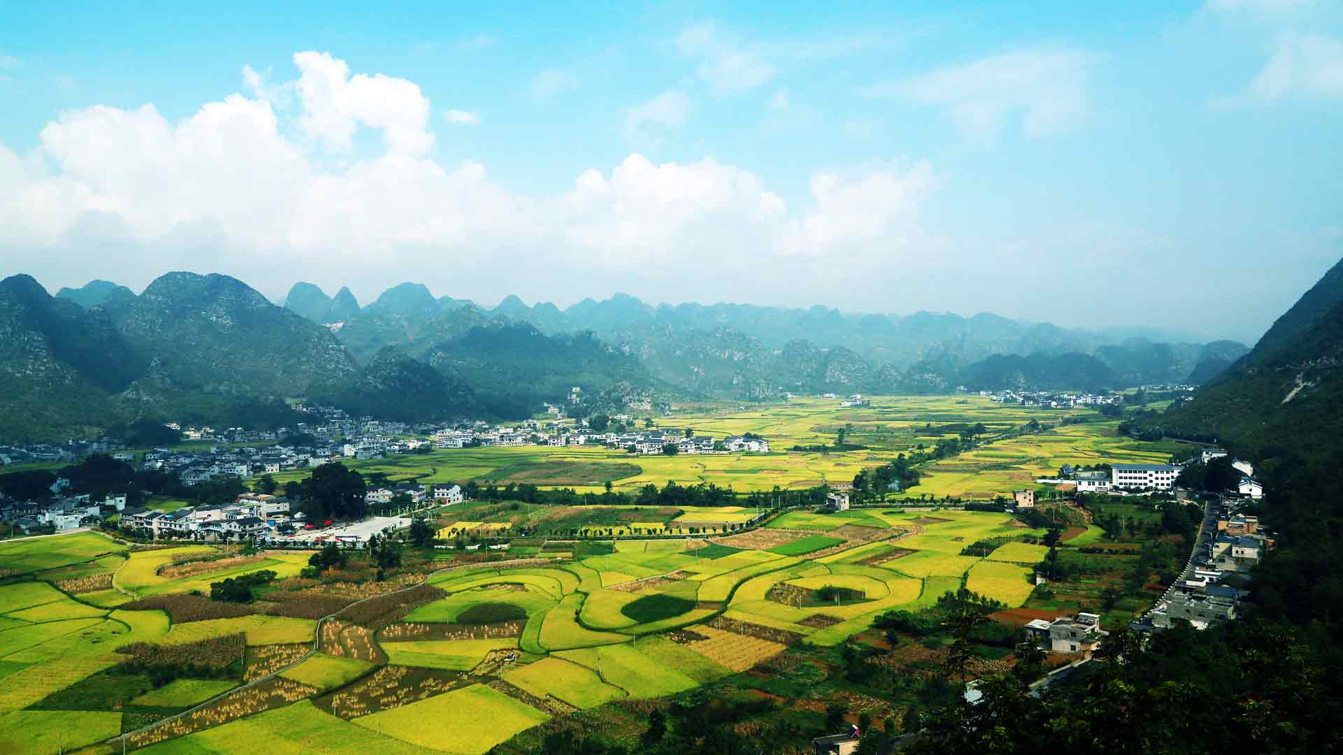 贵州金秋万丰山林稻田