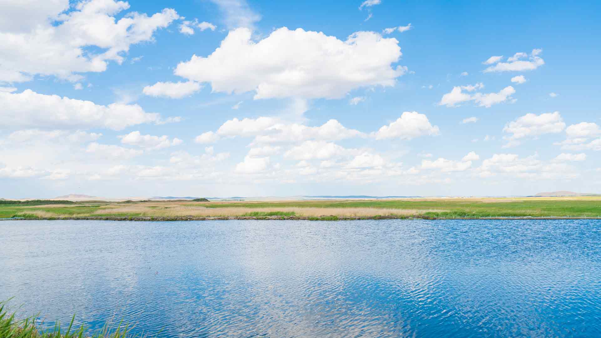 夏季草原湖泊 风景 5K