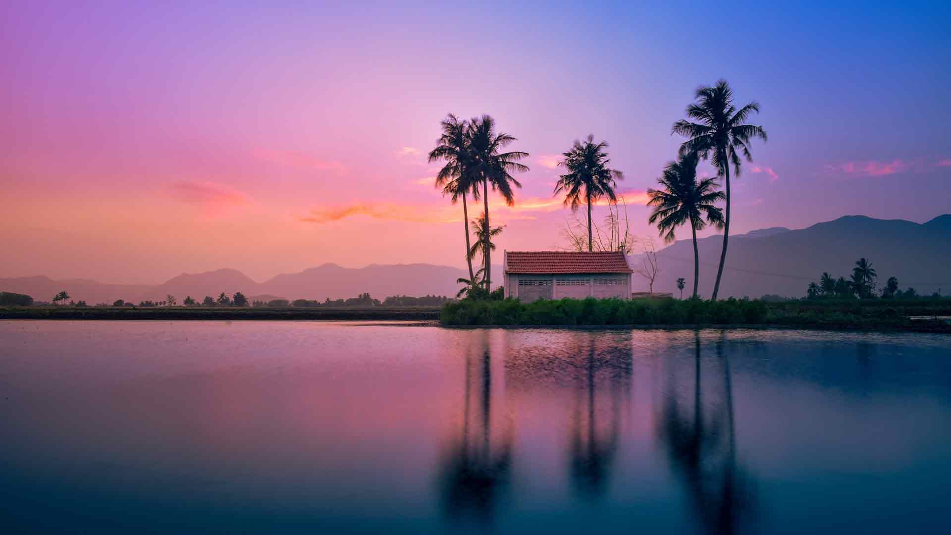 热带海洋岛屿旅行棕榈树 5K