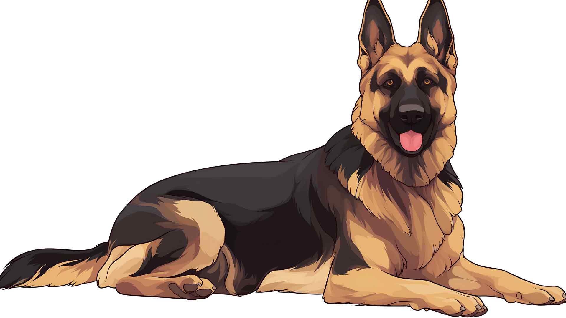 德国牧羊犬壁纸