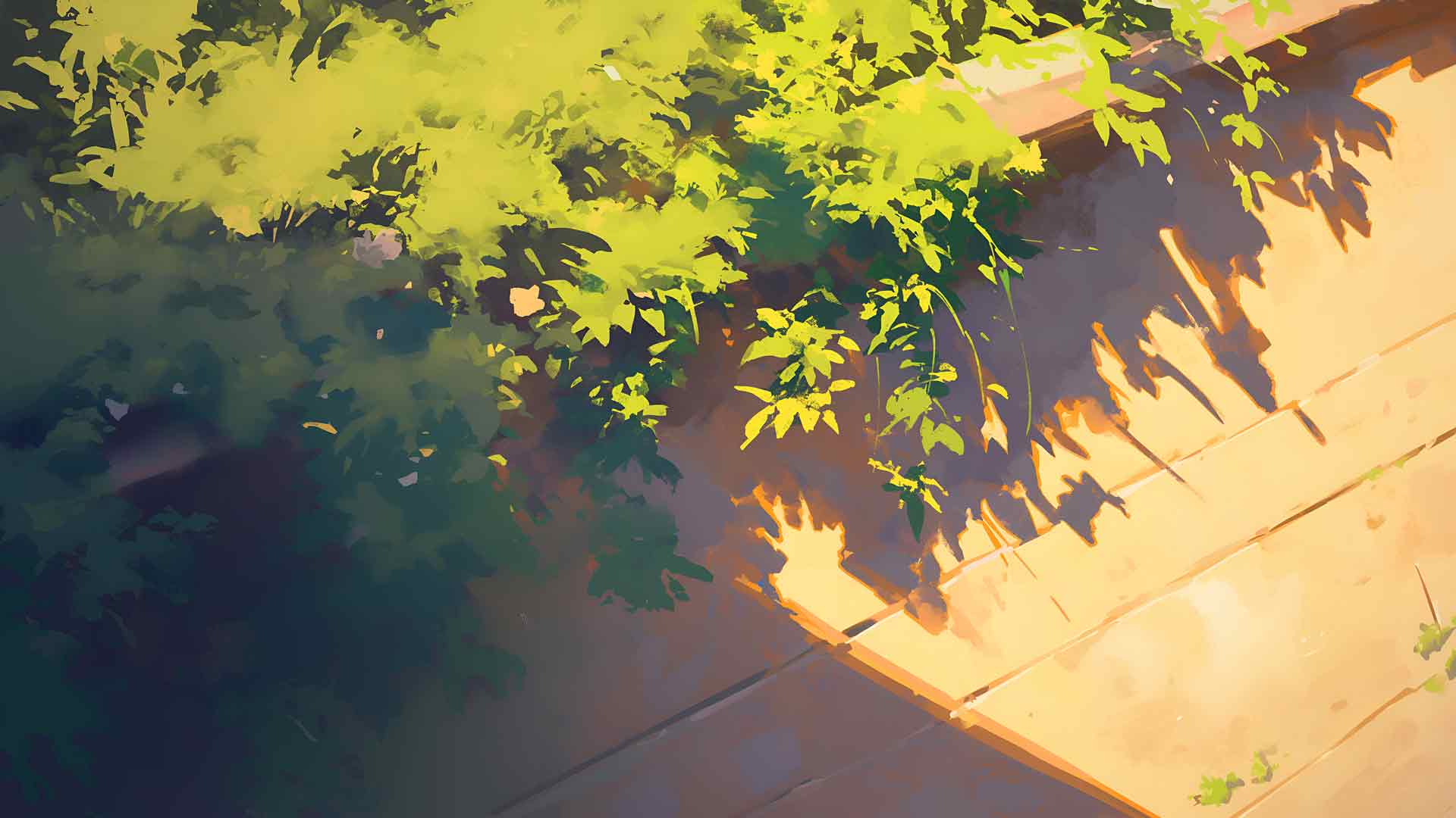 阳光照射的藤蔓阴影纹理桌面壁纸