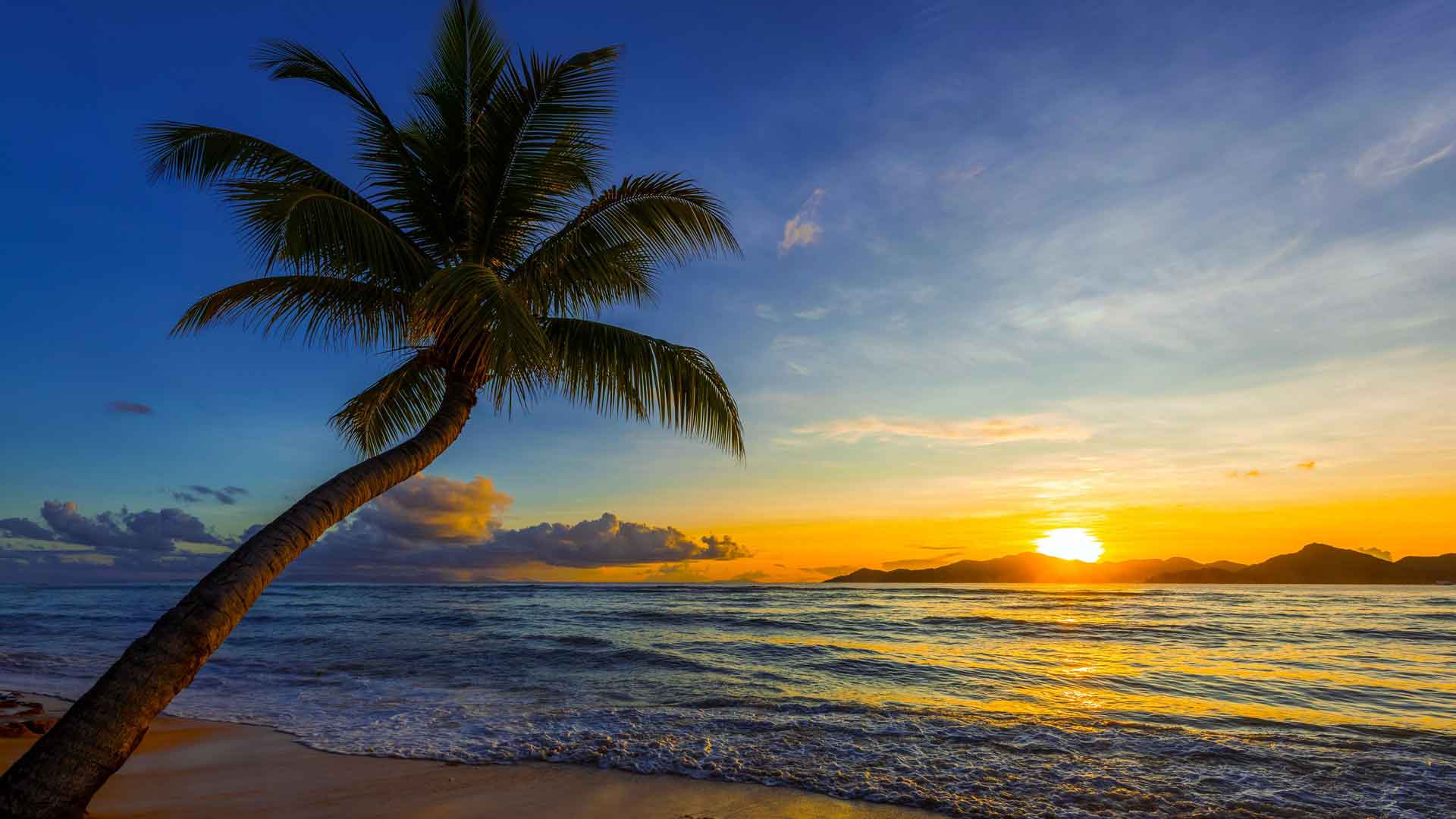 宁静的日落海滩棕榈树天际线 5K