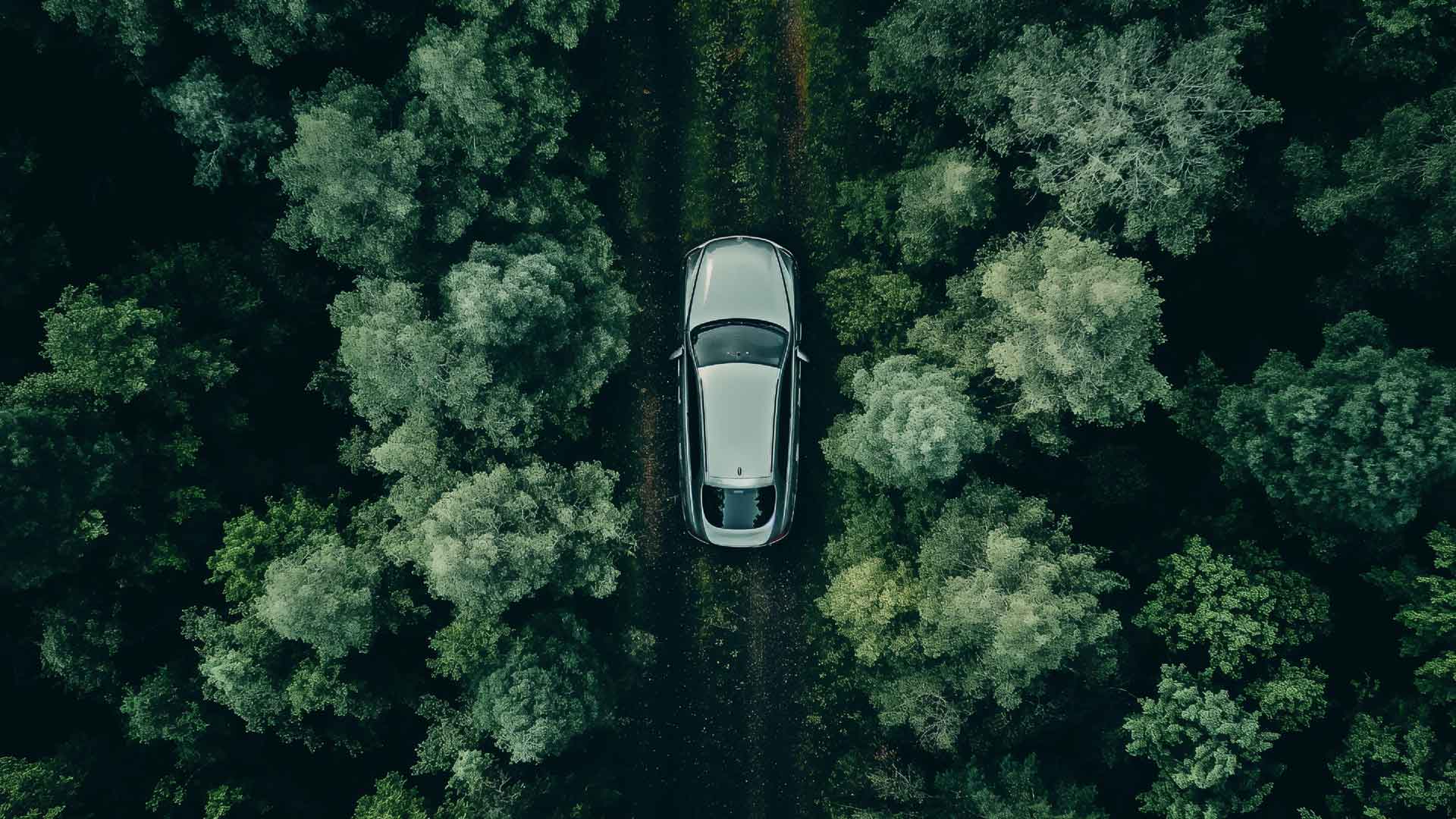 汽车在森林中宁静的驾驶桌面壁纸