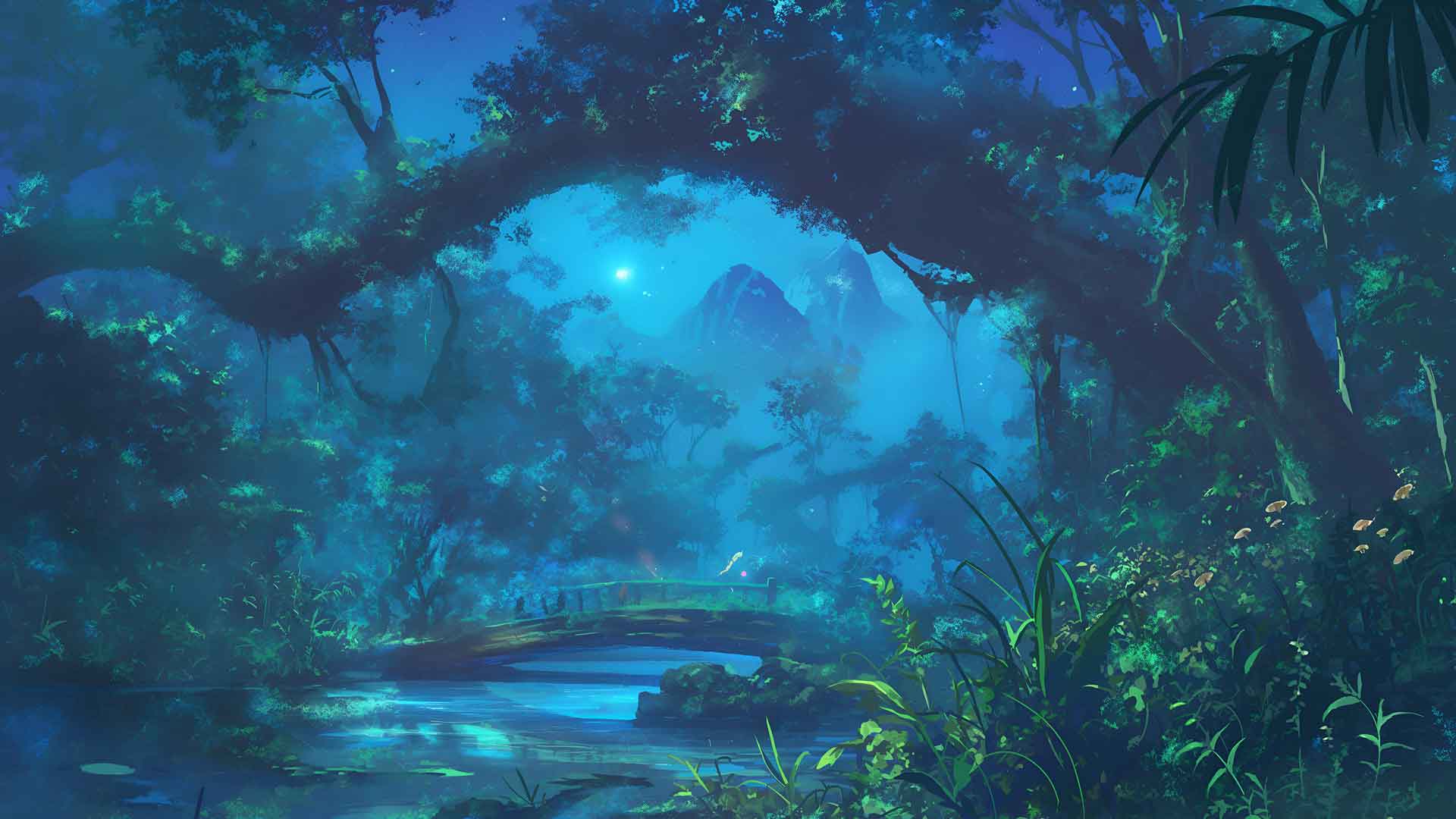 神秘森林夜景桌面壁纸