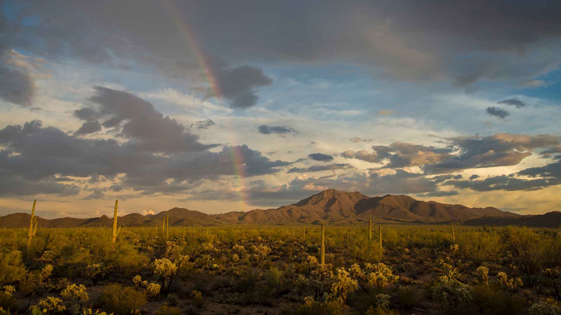 沃森峰上空的彩虹, 巨人柱国家公园, 亚利桑那州, 美国