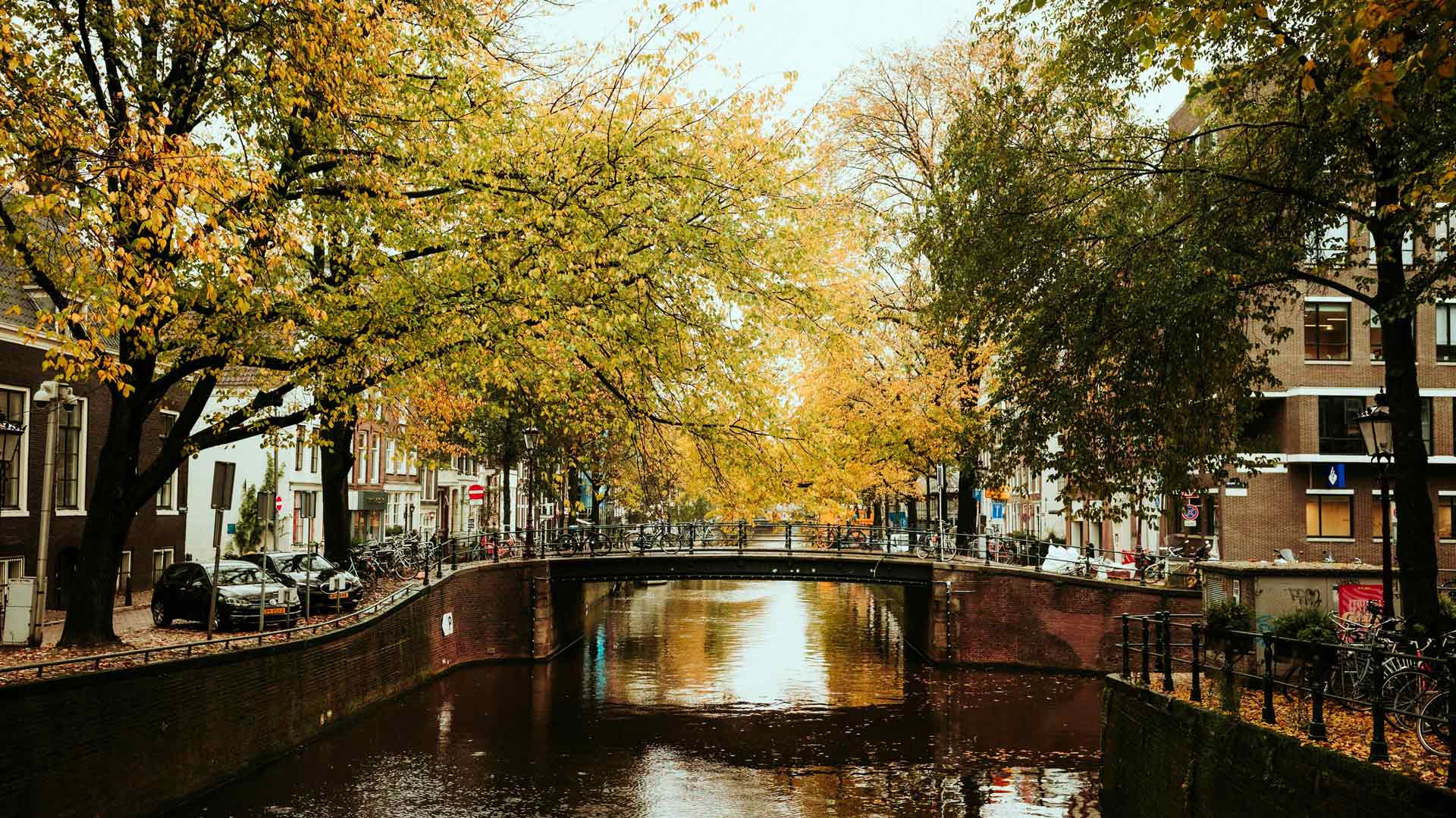 秋季河流小桥镇阿姆斯特丹荷兰