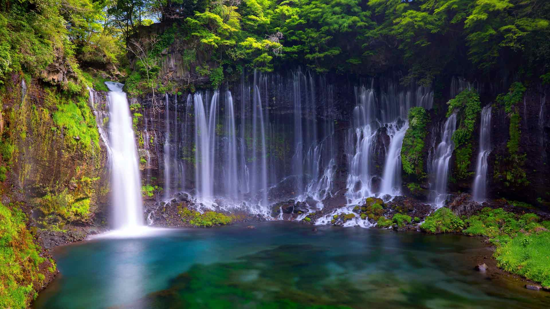白丝瀑布日本旅游瀑布森林自然风光