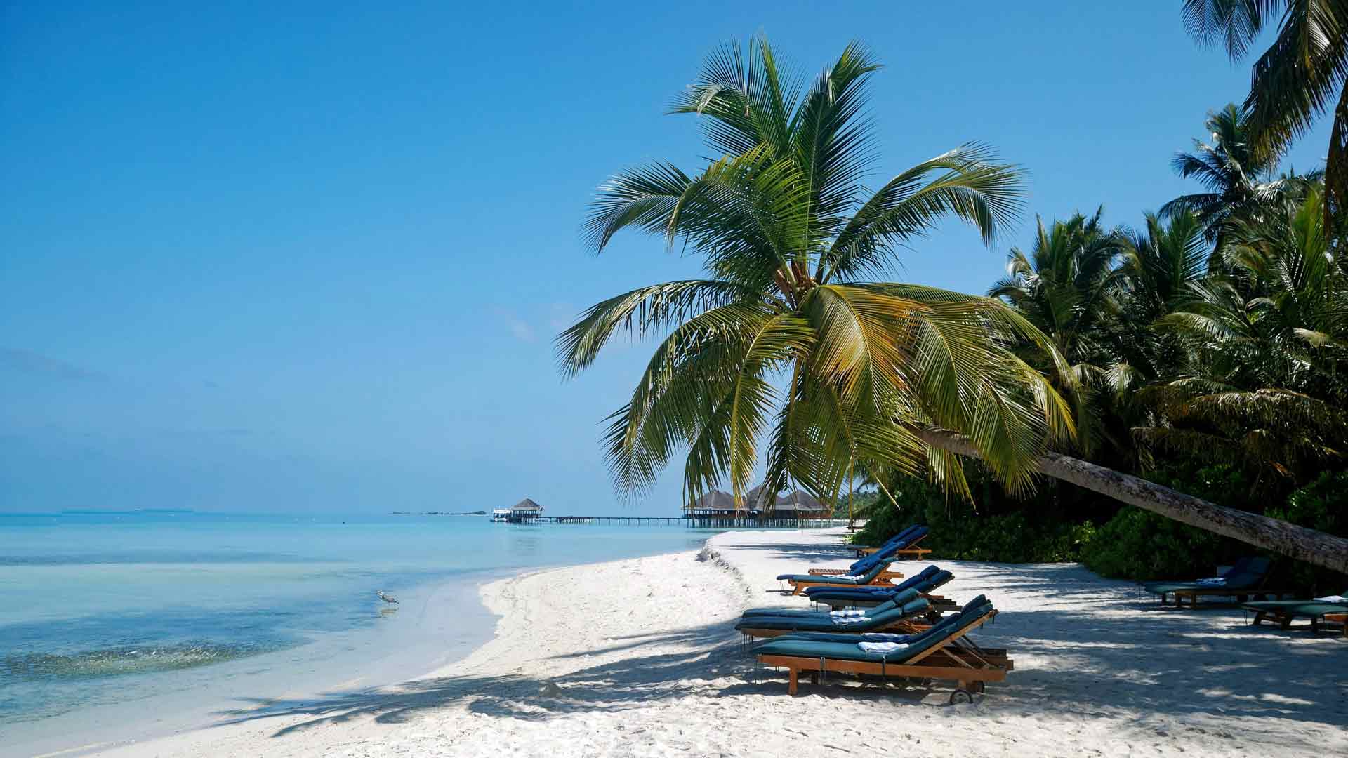 热带岛屿，蓝色美丽海滩，马尔代夫