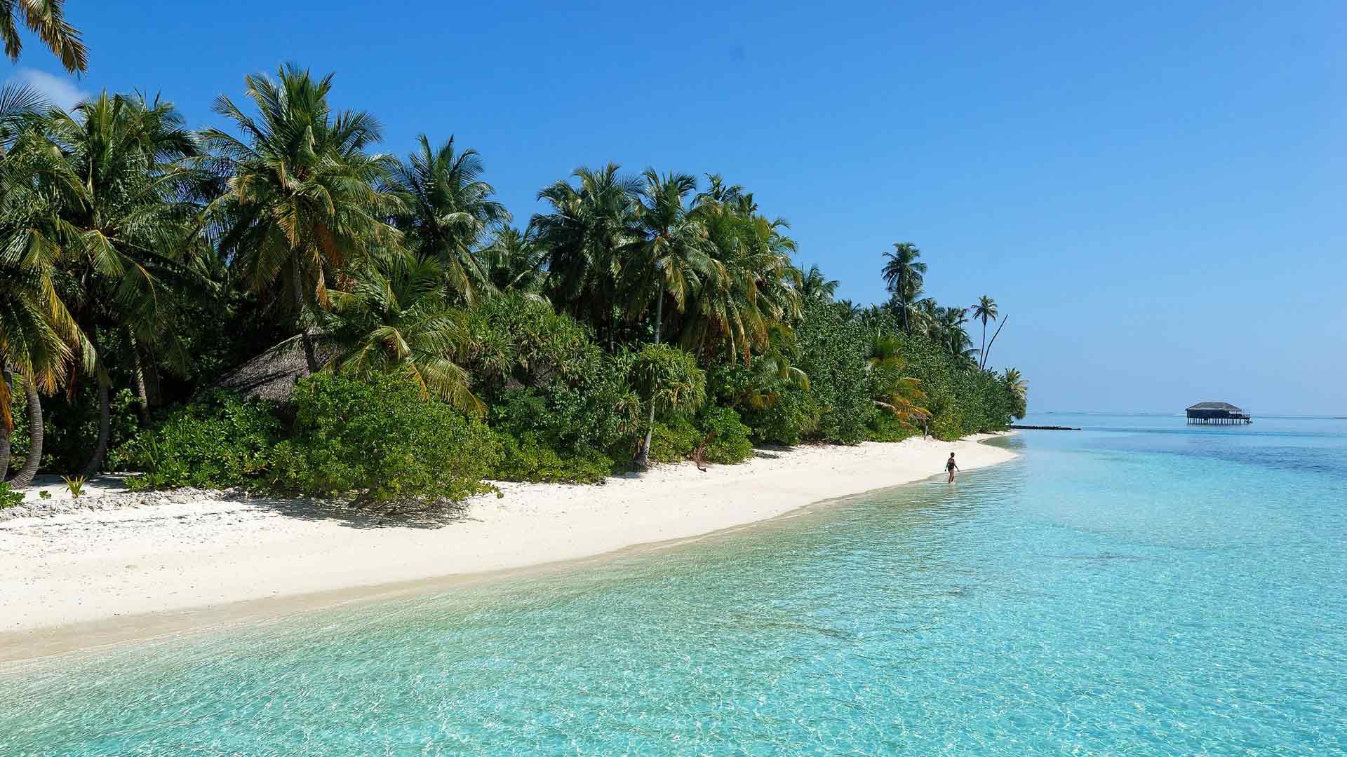 热带岛屿天堂美丽海滩马尔代夫