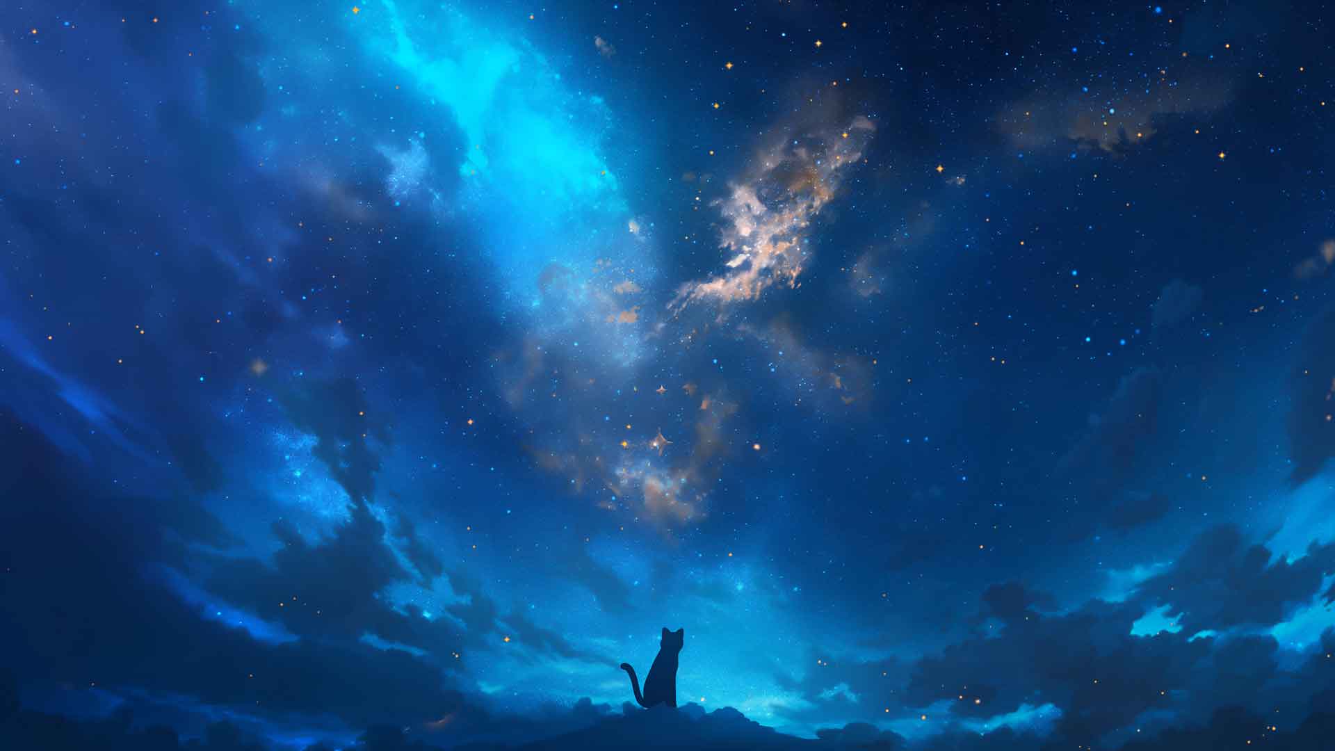 猫观星银河夜晚桌面壁纸