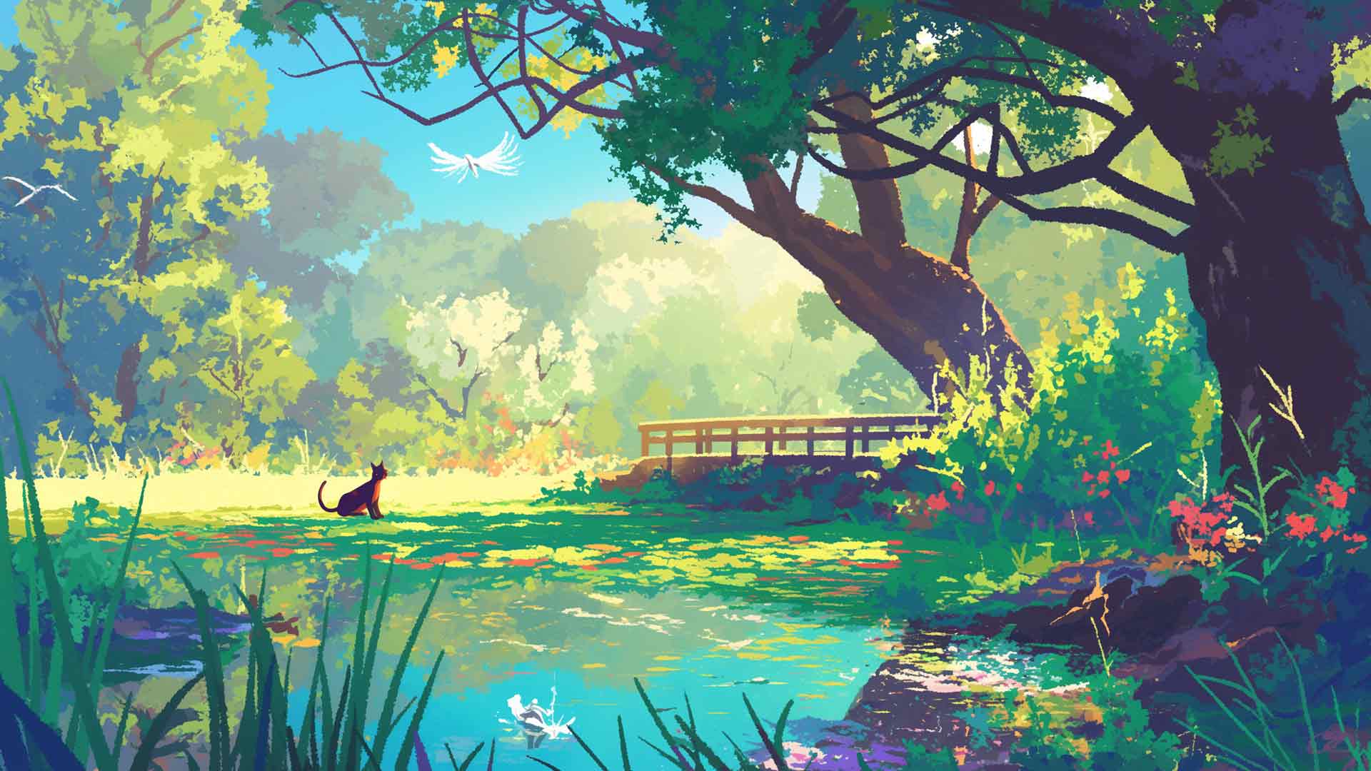 自然风景猫桌面壁纸