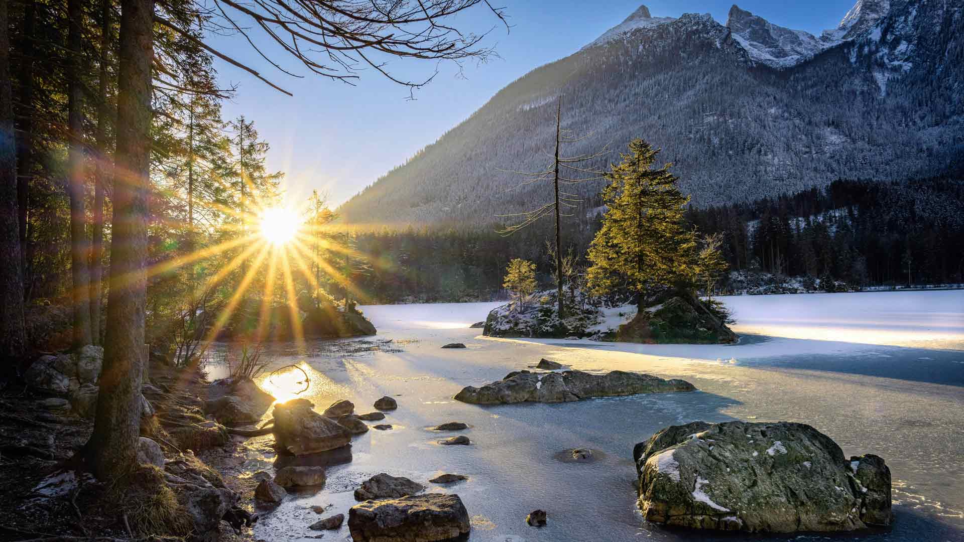 森林河阳光拉姆绍 贝希特斯加登 德国