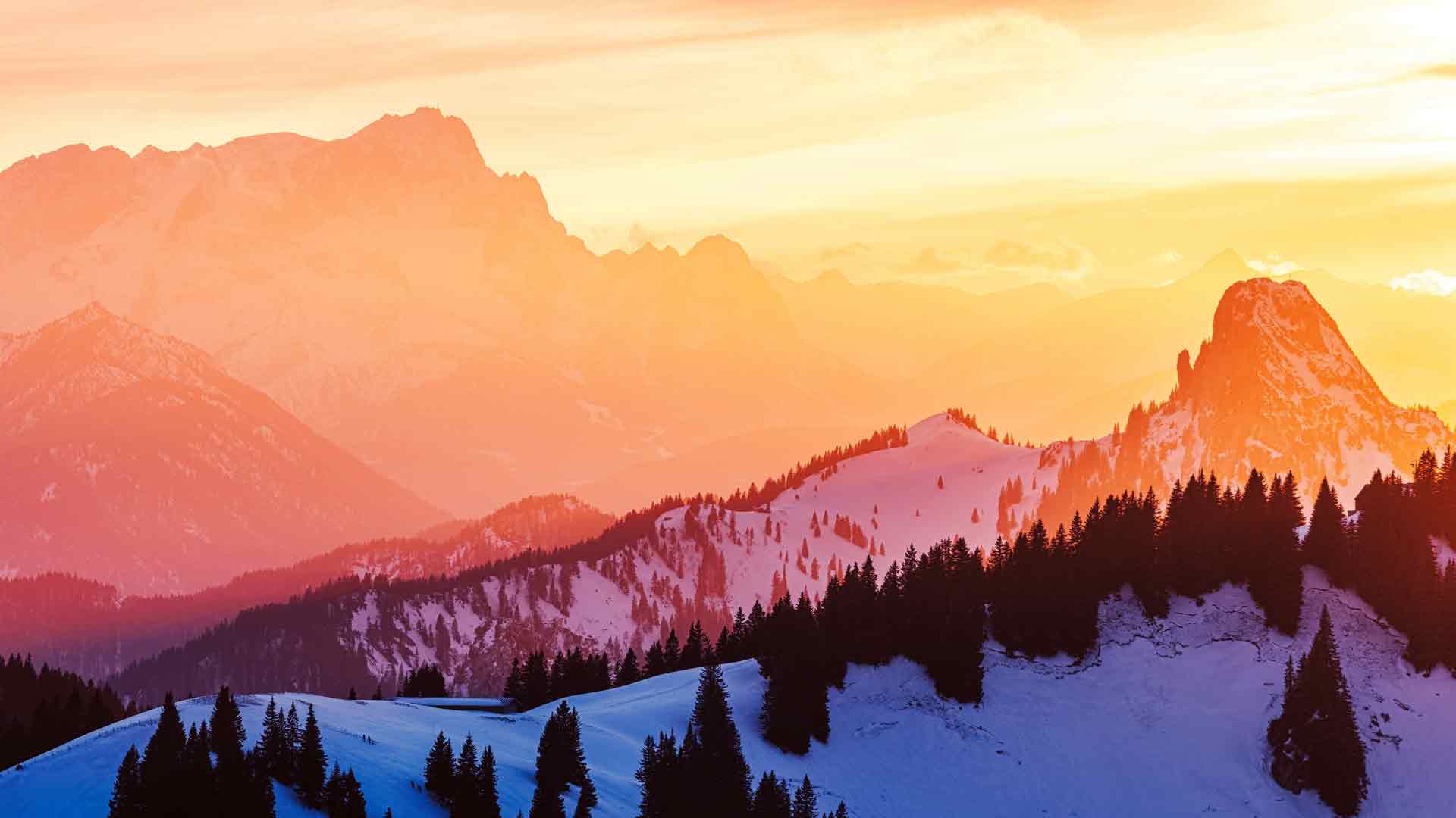 金色阳光日出森林雪山