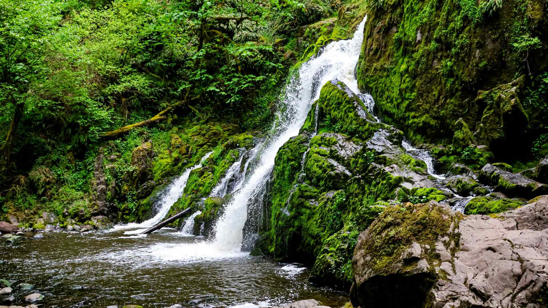 2026 年春季小马舍尔河瀑布