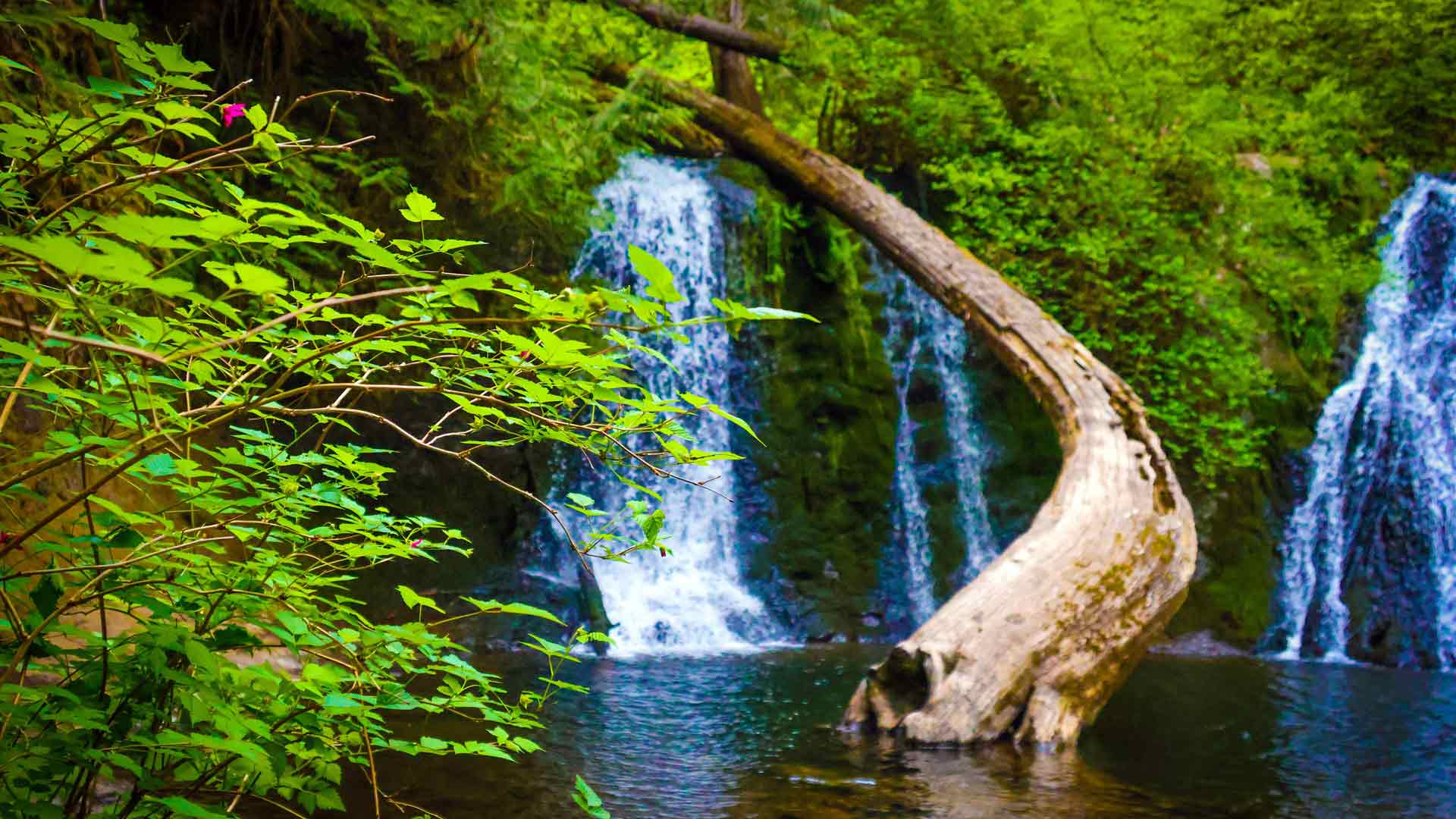 樱桃溪瀑布凯利路东北杜瓦尔