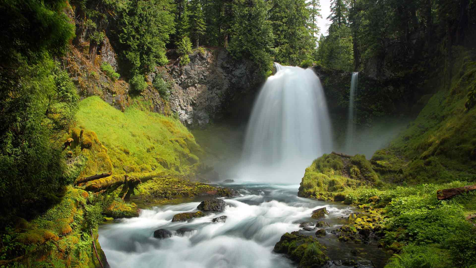 绿色森林 夏季 萨哈利瀑布 俄勒冈州 美国