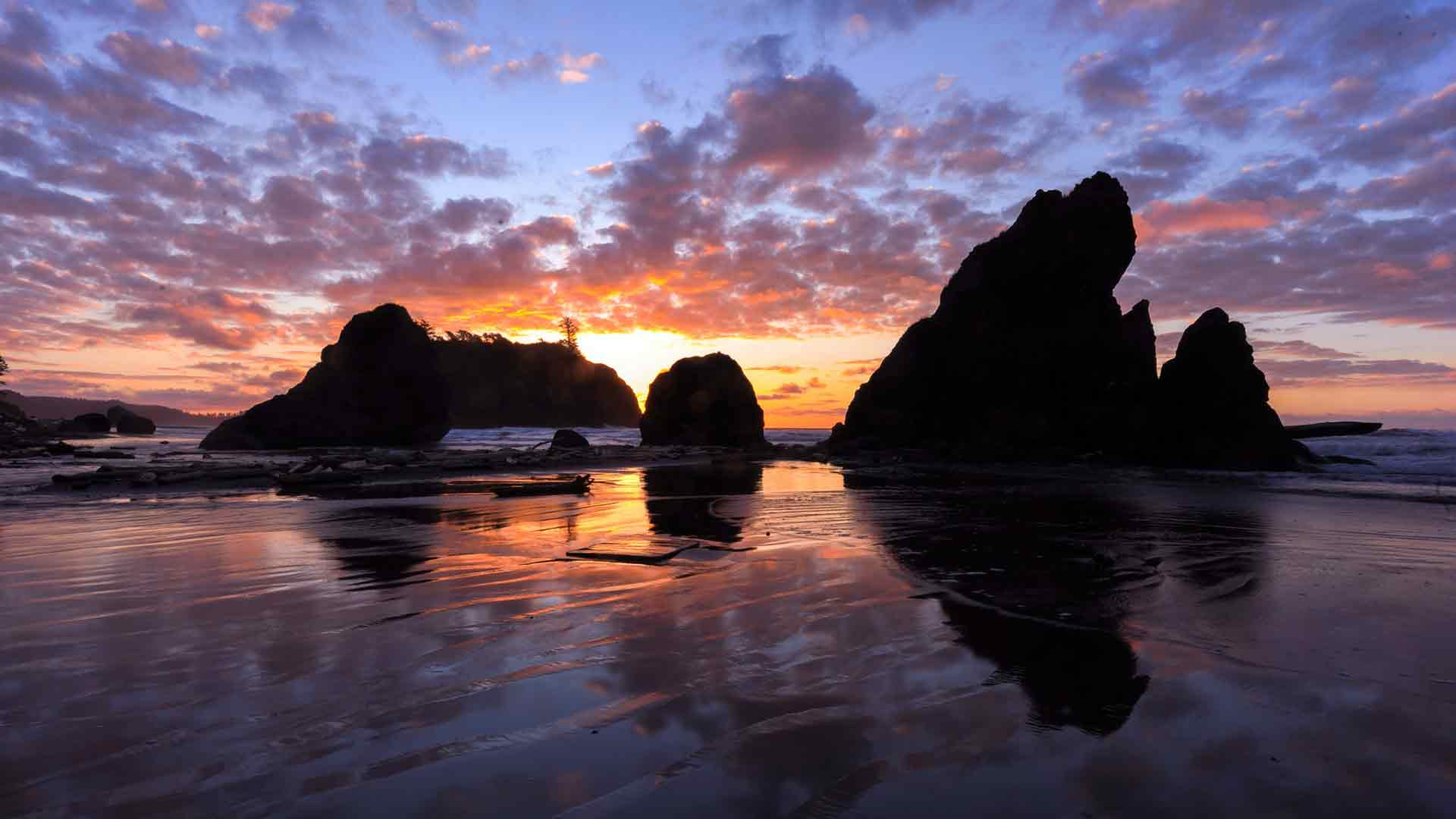 美国夏季奥林匹克国家公园黄昏日落海滩