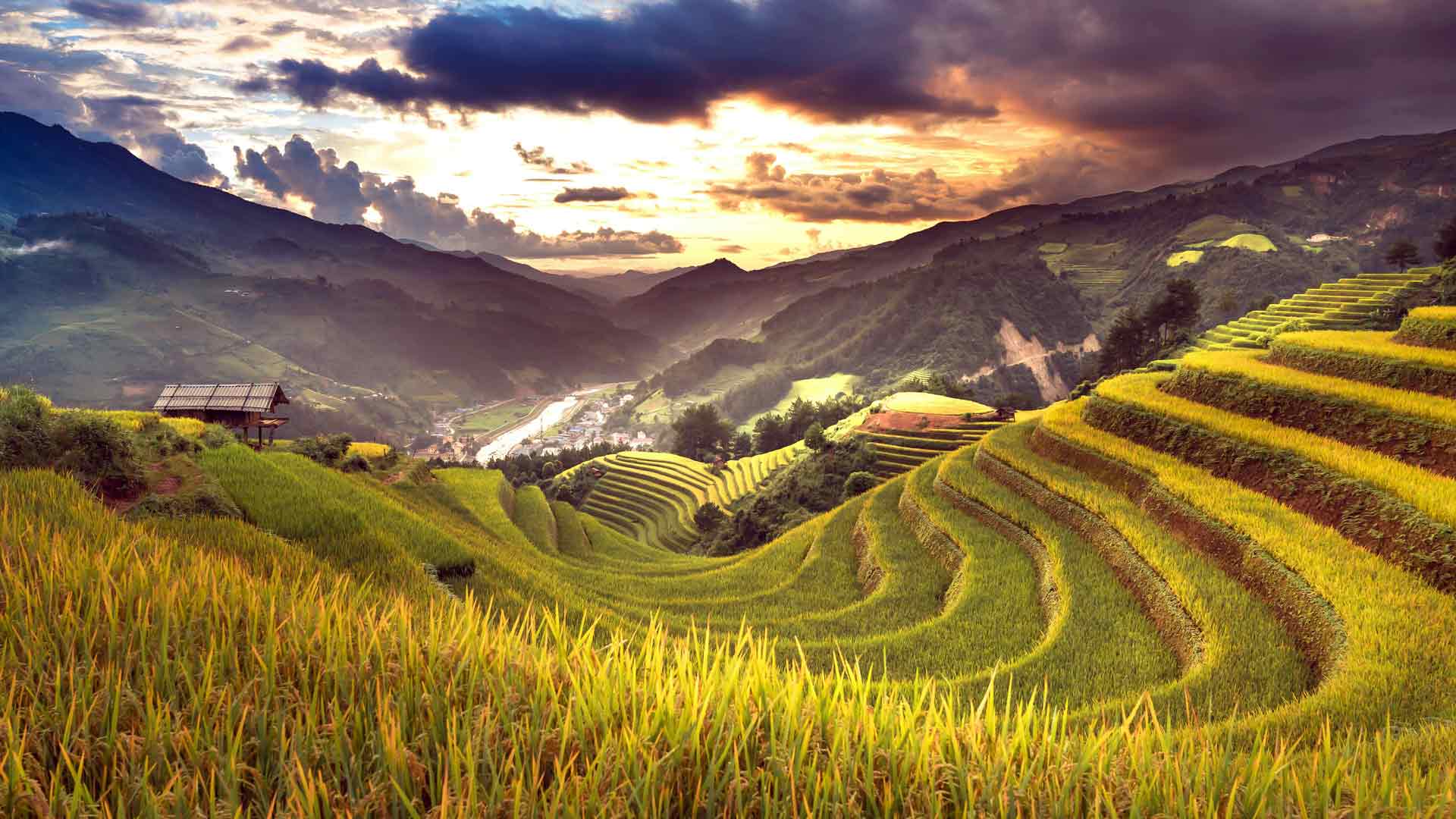 夏季稻田日落梯田 广西 中国 5K